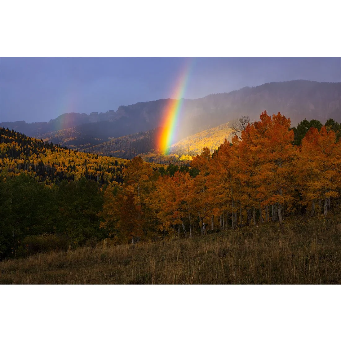 Rainbow shining over golden aspen trees in Colorado’s Cimarron Range after sunrise, with misty mountains and fall foliage in the background.