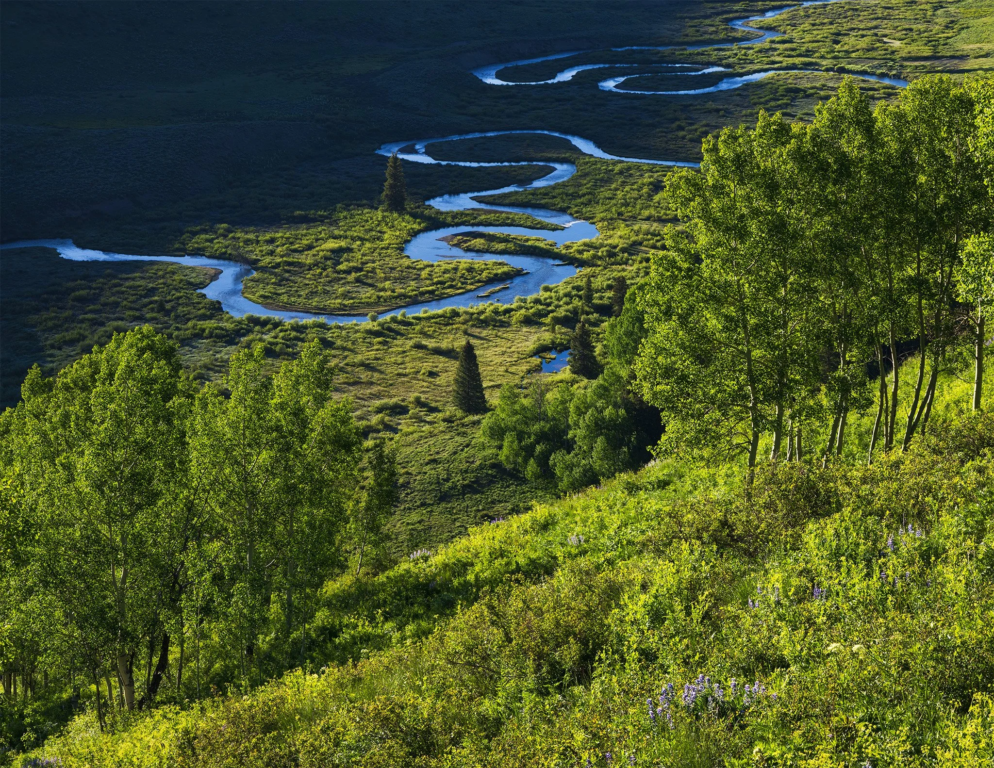 The East River meandering through a green glacial valley below Mt. Crested Butte, Gunnison County, Colorado.