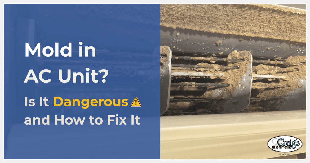 Mold in Your AC Unit: What It Means and How to Fix It
