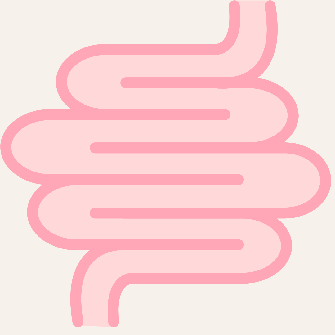 Botanic Artisan naturopath for gut health