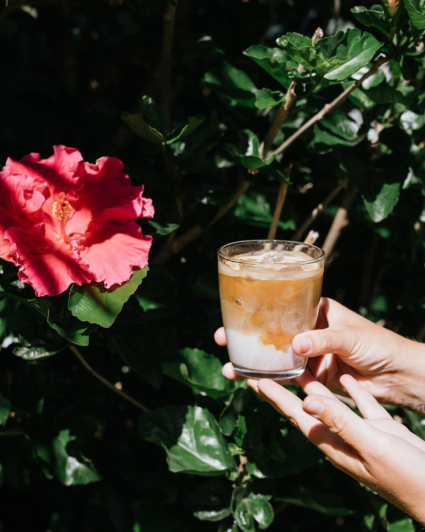 That Autumn light hits different, so does the coffee 🌺
