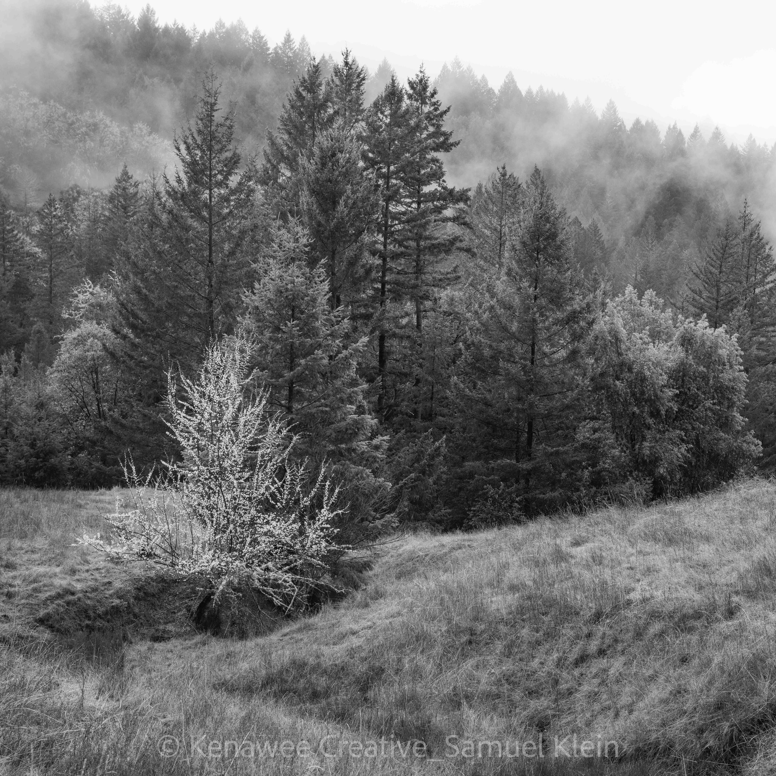 untitled-03410.jpg