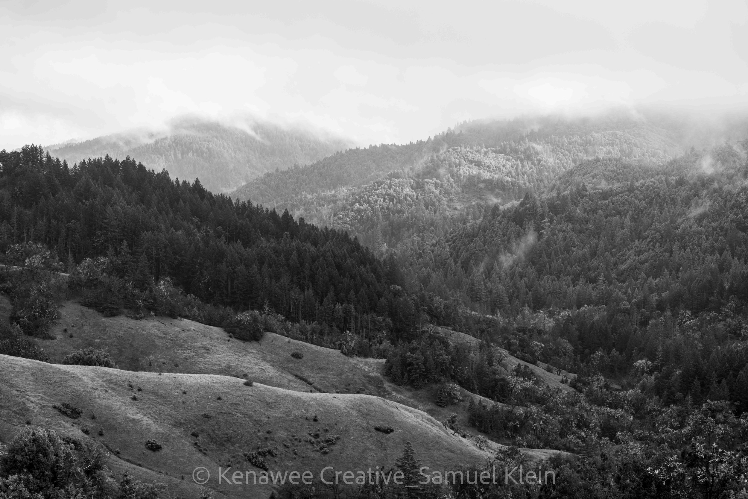 untitled-03439.jpg