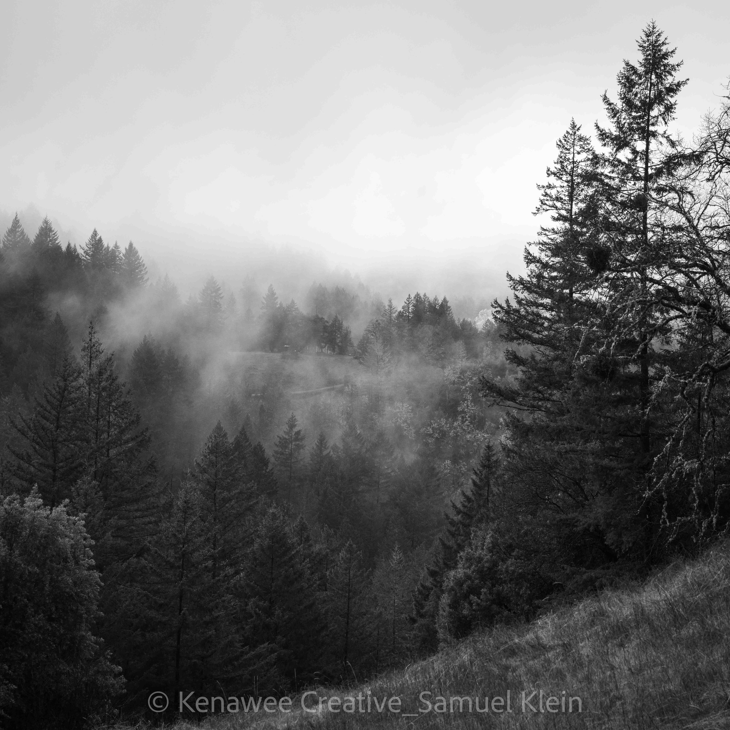 untitled-03417.jpg