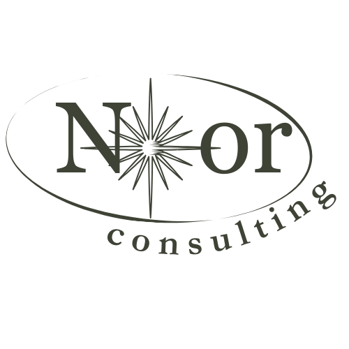 Noor Consulting