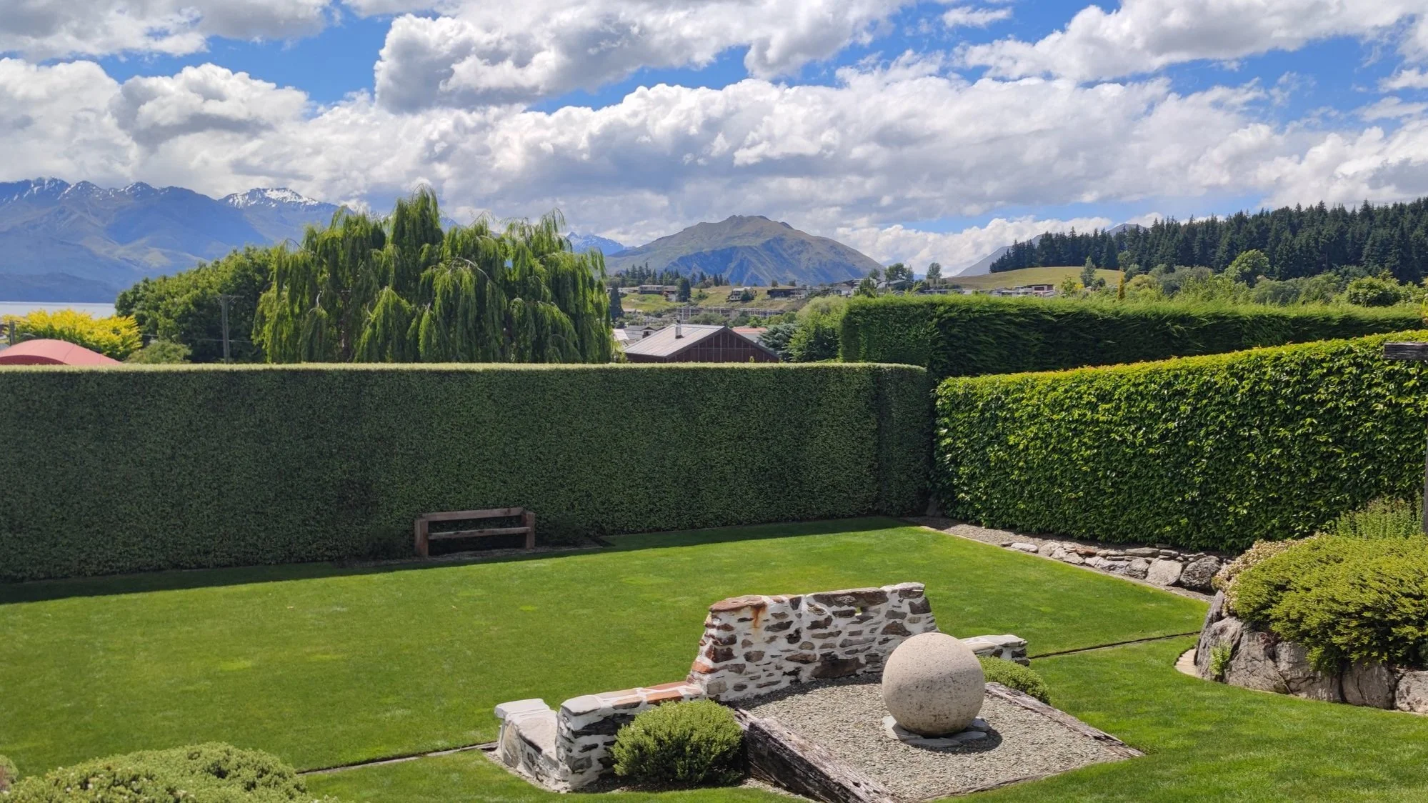 Arborist Hedge trimming in Tasman