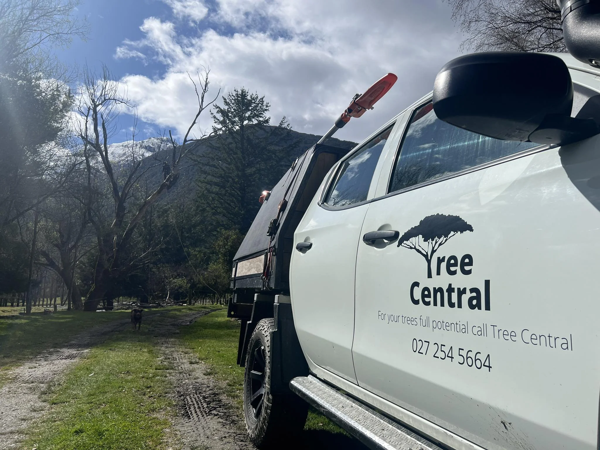 Arborist removal volunteering Tasman