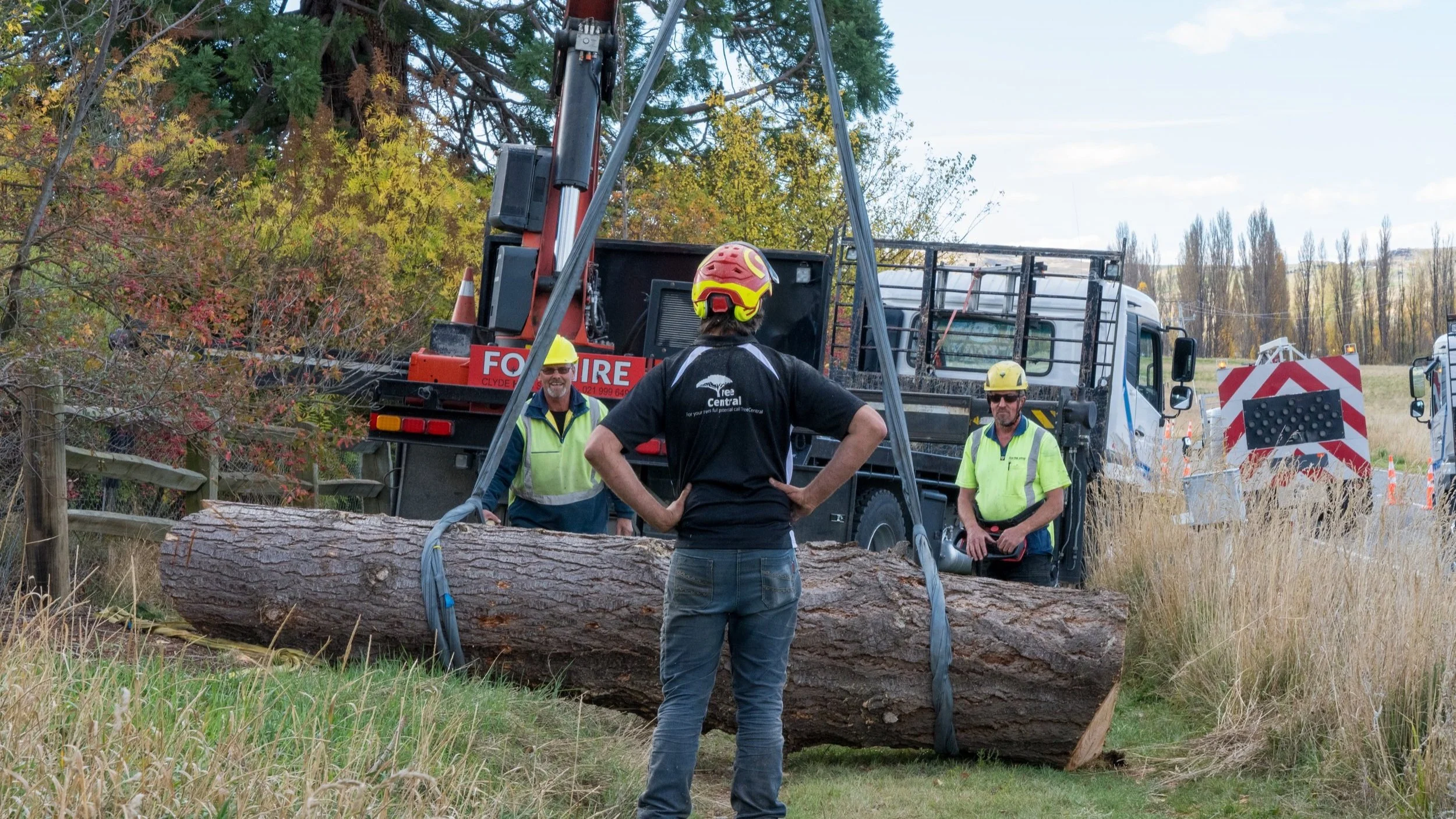Arborist tree removal using crane