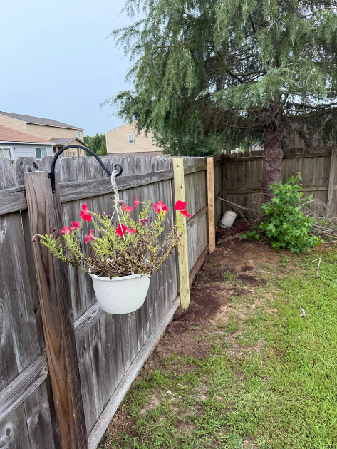 Fence Repair