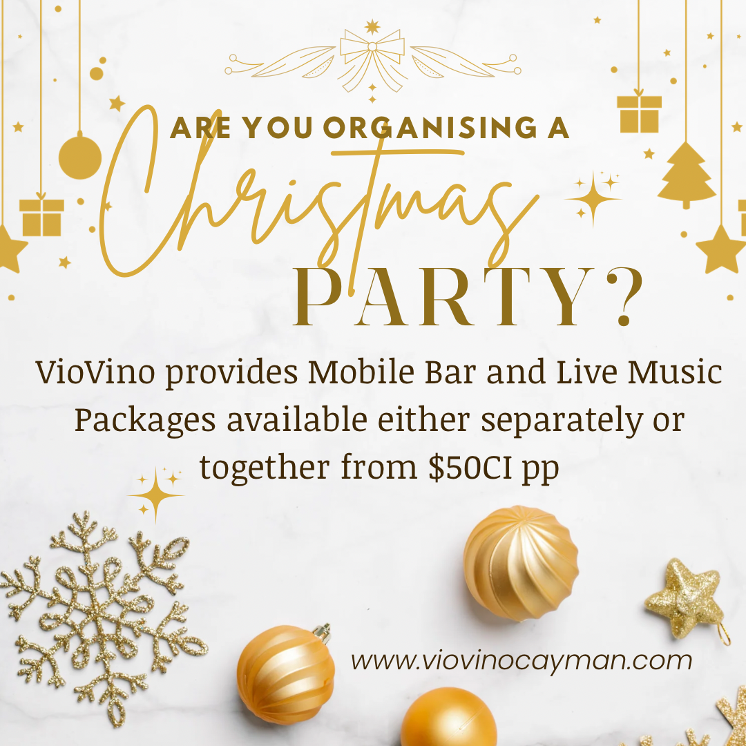 Christmas Party Promotion