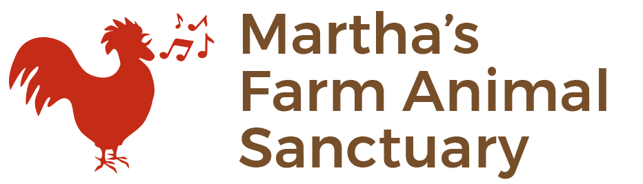 Martha&#39;s Farm Animal Sanctuary