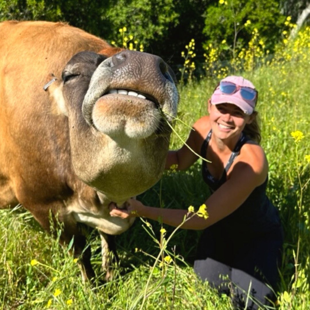 Sophie and our farrier, Allyssa, have a very special bond. Allyssa visits frequently to attend to the hooves of the goats and donkeys at the sanctuary, and always makes time to visit with Sophie. When Sophie spots Allyssa, she runs across the pasture