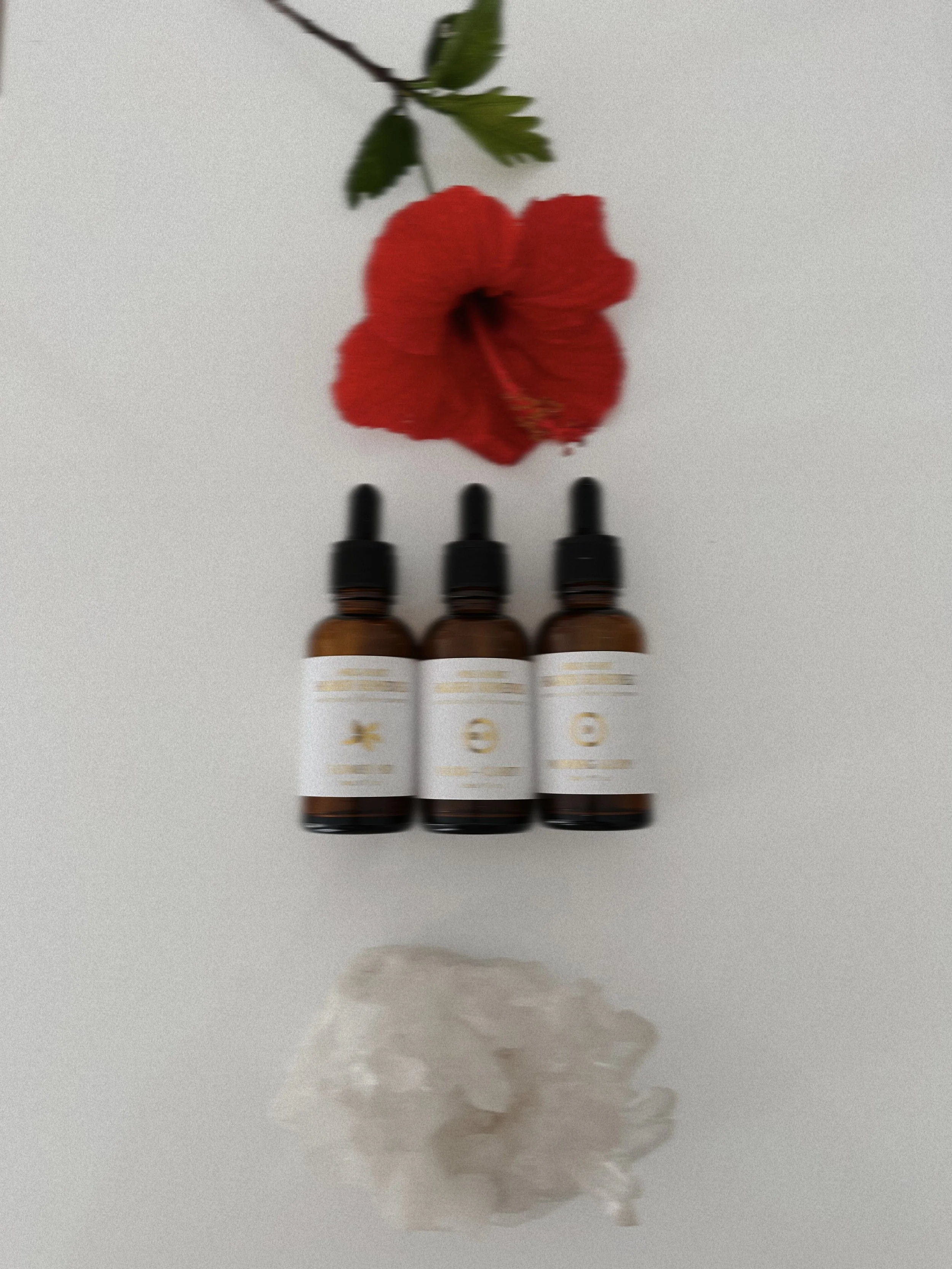 Three small brown bottles with black dropper caps and white labels with gold accents, a red flower with green leaves, and a burning candle on a white surface.