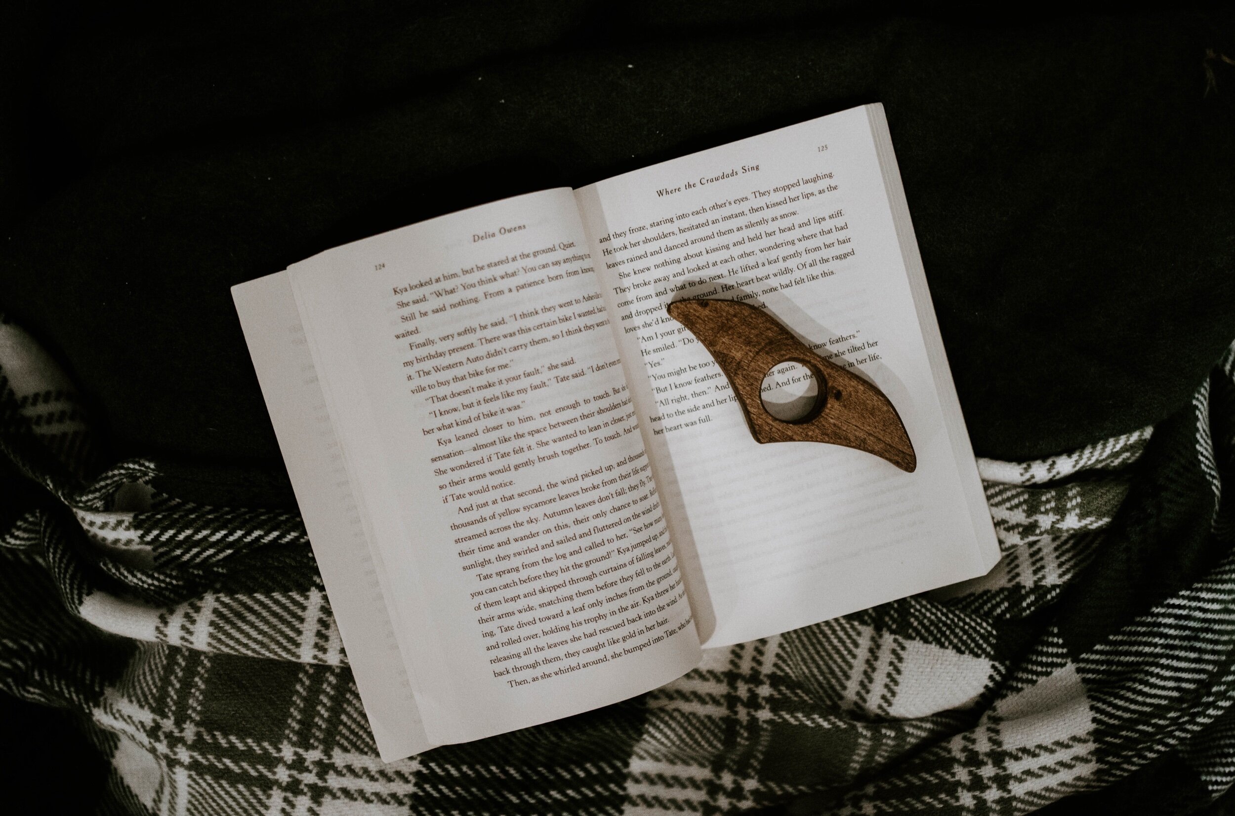 Book buddy