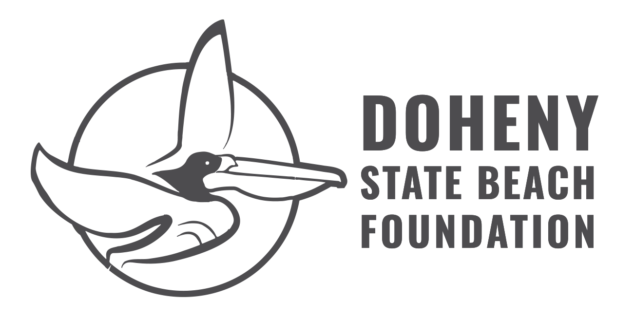 DohenyStateBeachFoudnation copy.webp