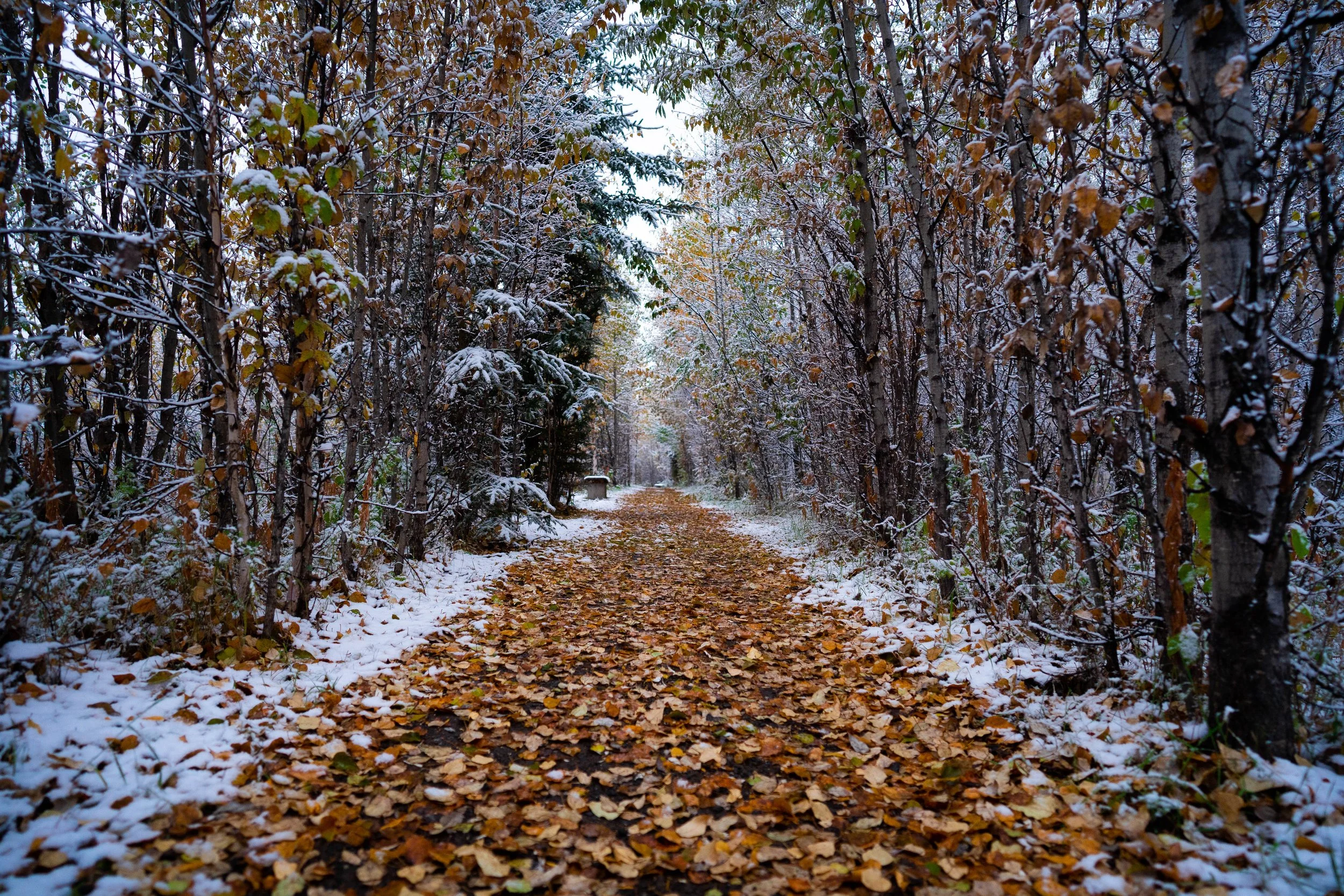 _DSC2968.jpg