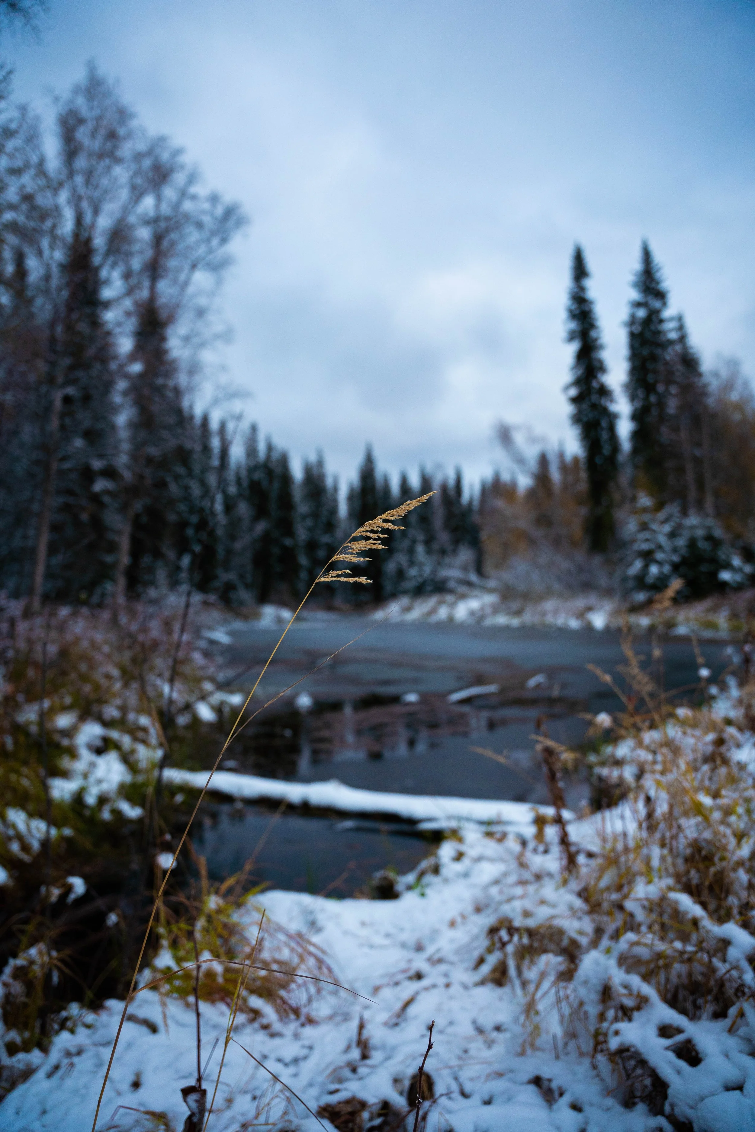 _DSC3478.jpg