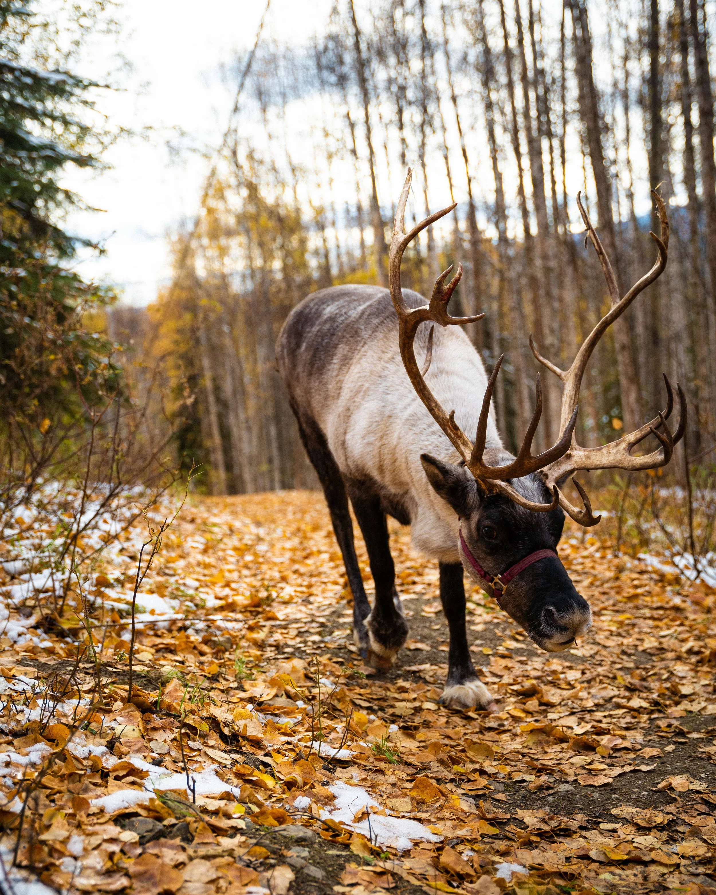 _DSC3673.jpg