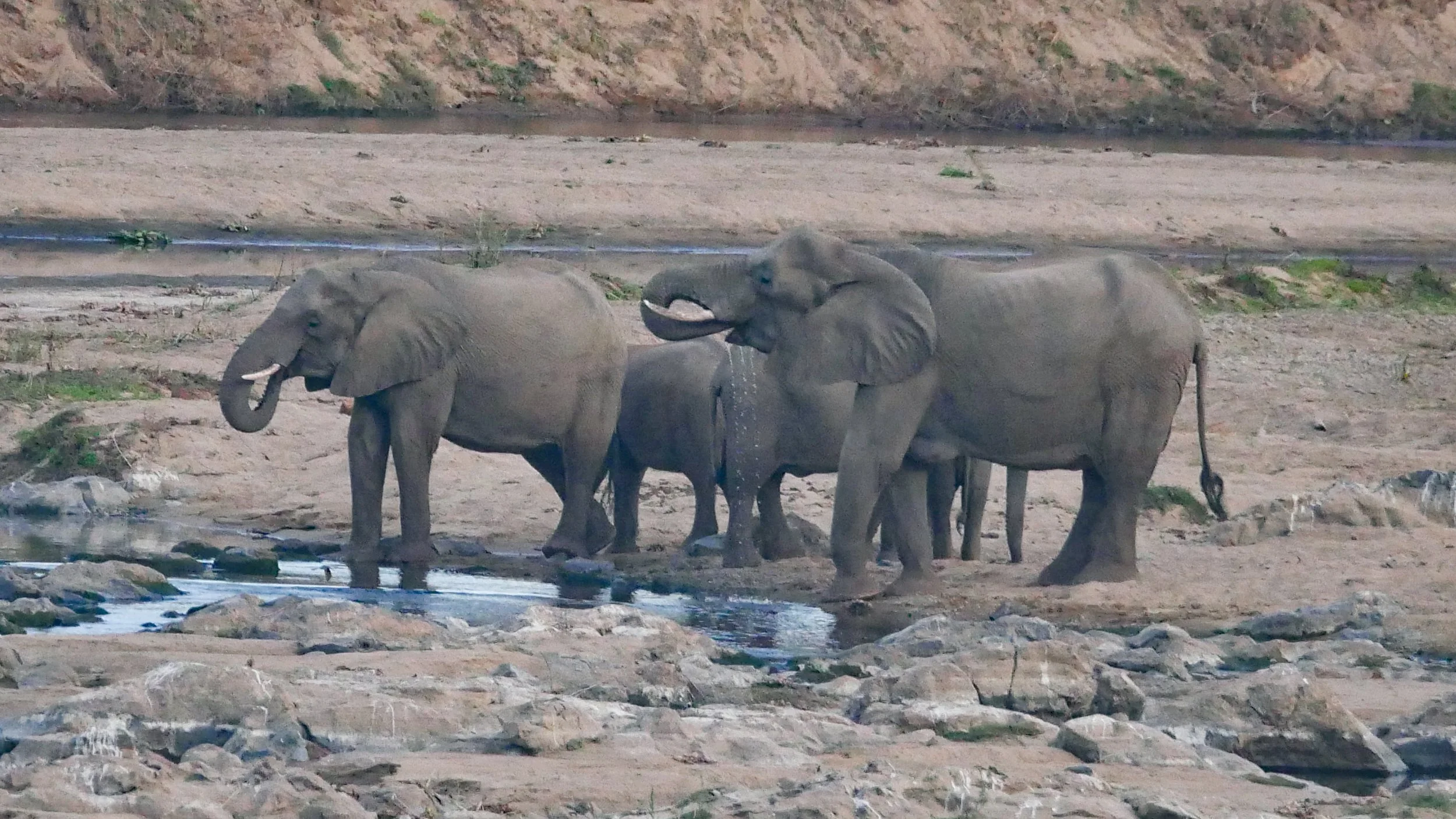 landscapeandwildlife_Kruger_-184.jpg