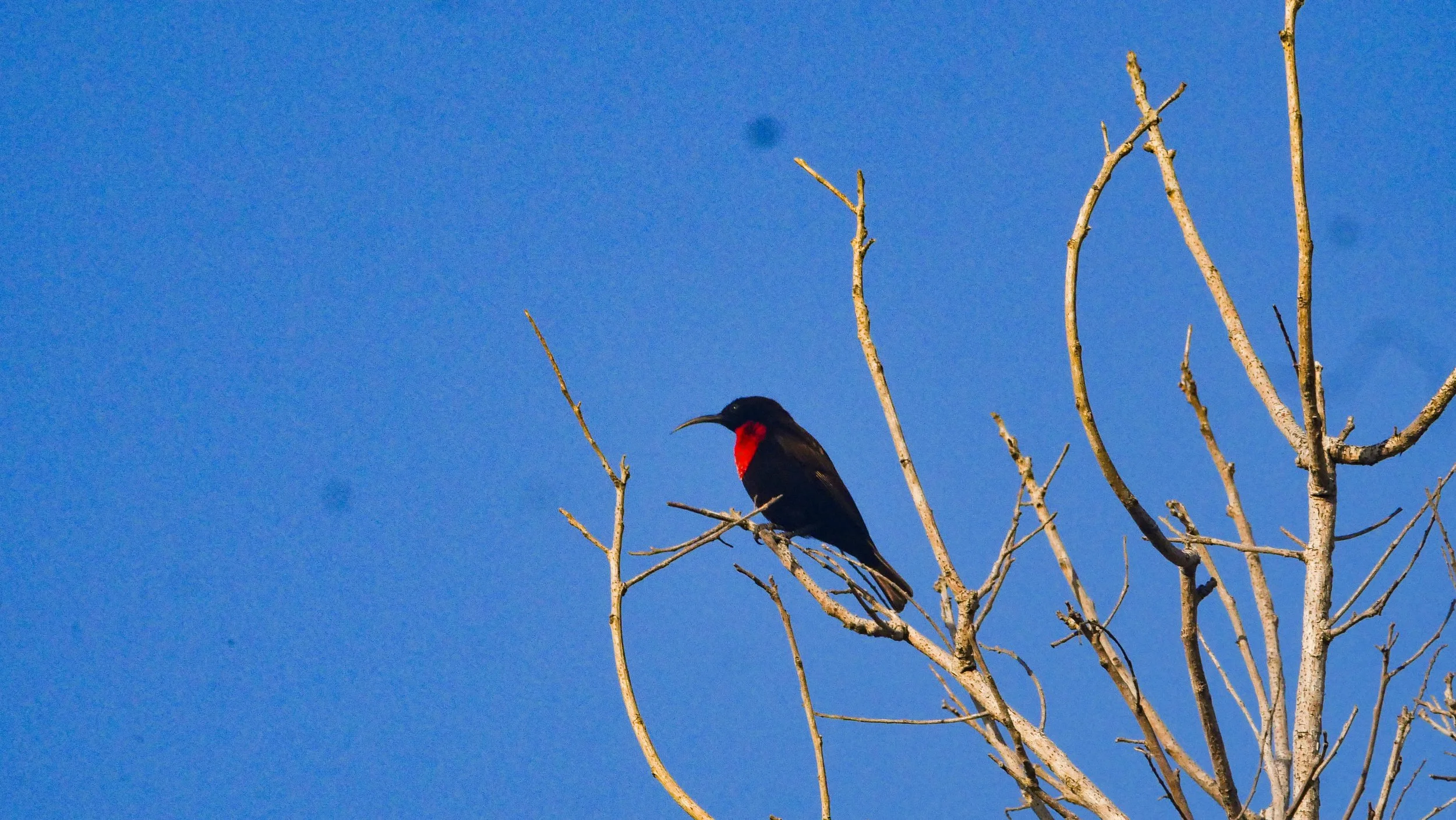landscapeandwildlife_Kruger_-3-3.jpg
