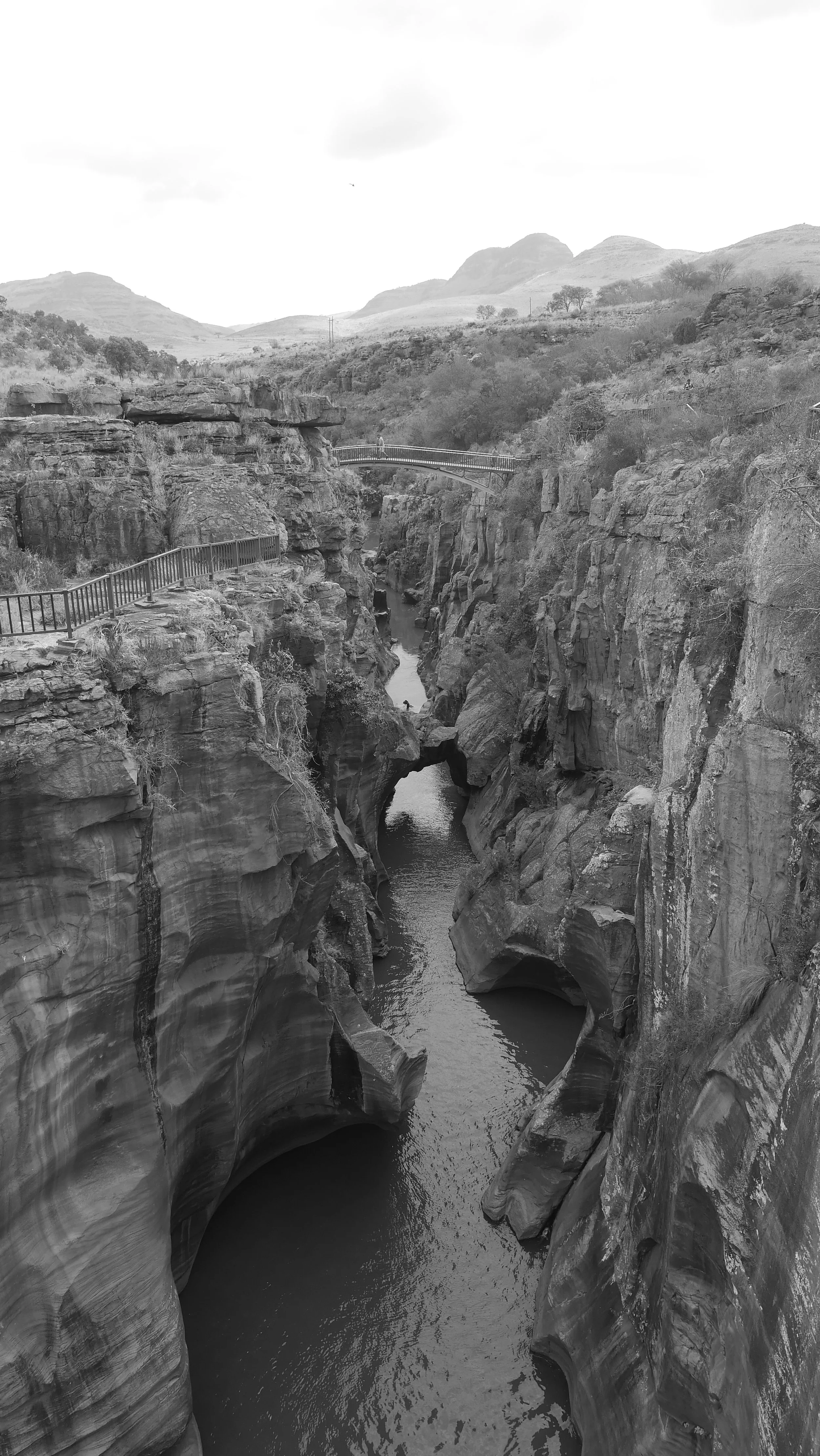 landscapeandwildlife_Kruger_-7-2.jpg