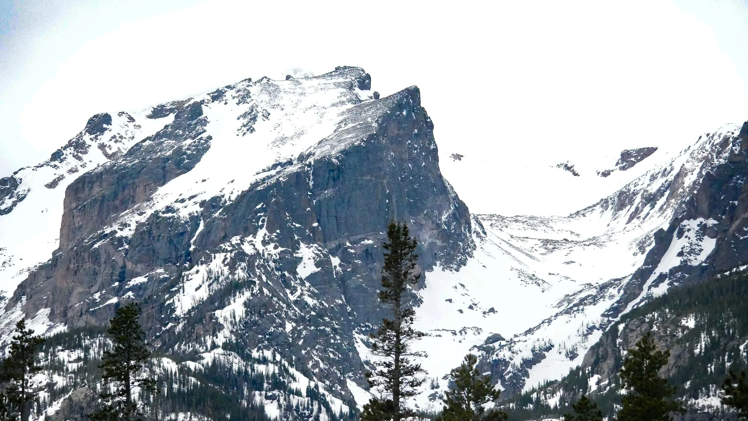 LandscapeandWildlife_RMNP_-12.jpg