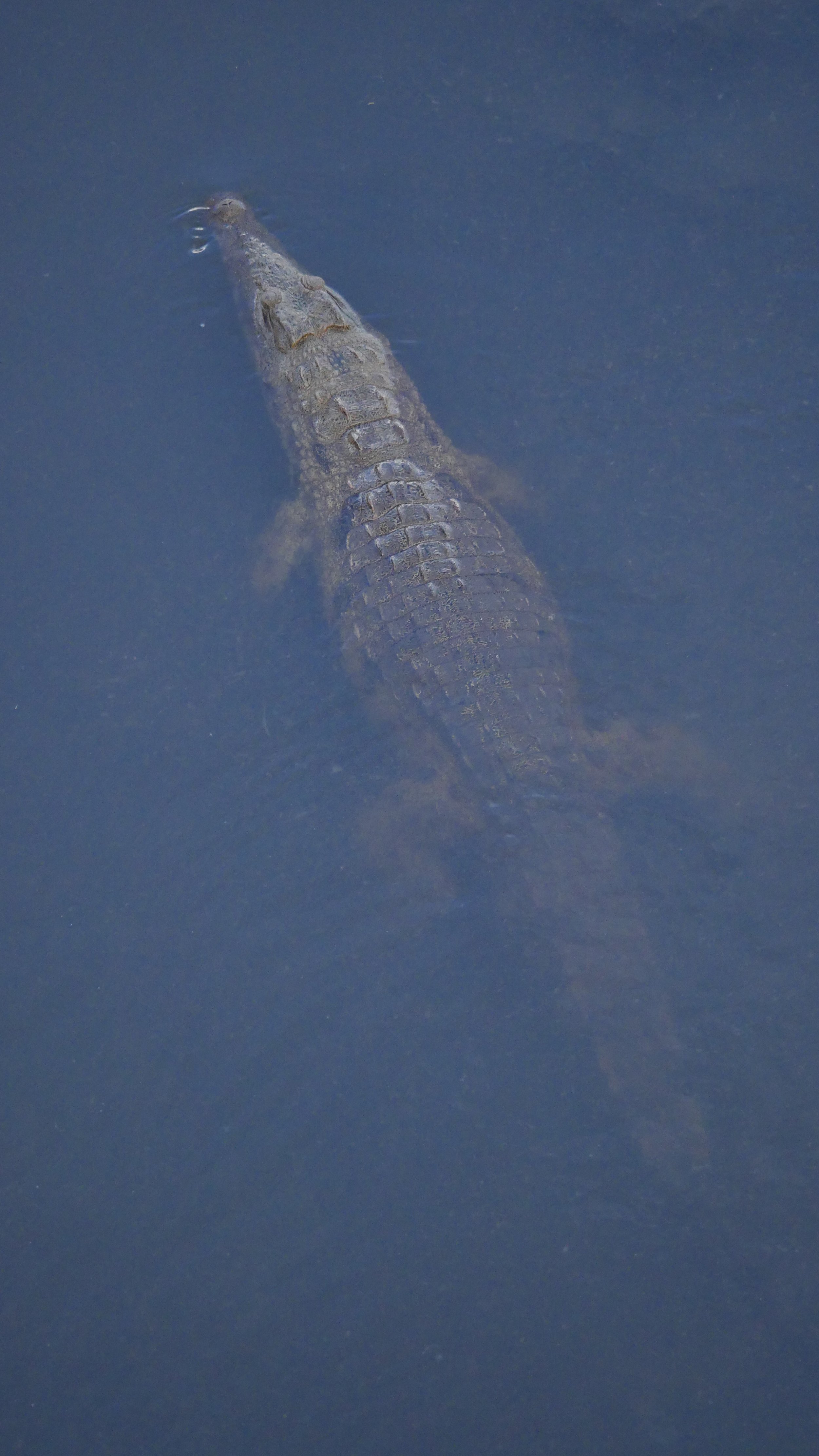 landscapeandwildlife_Kruger_-162.jpg