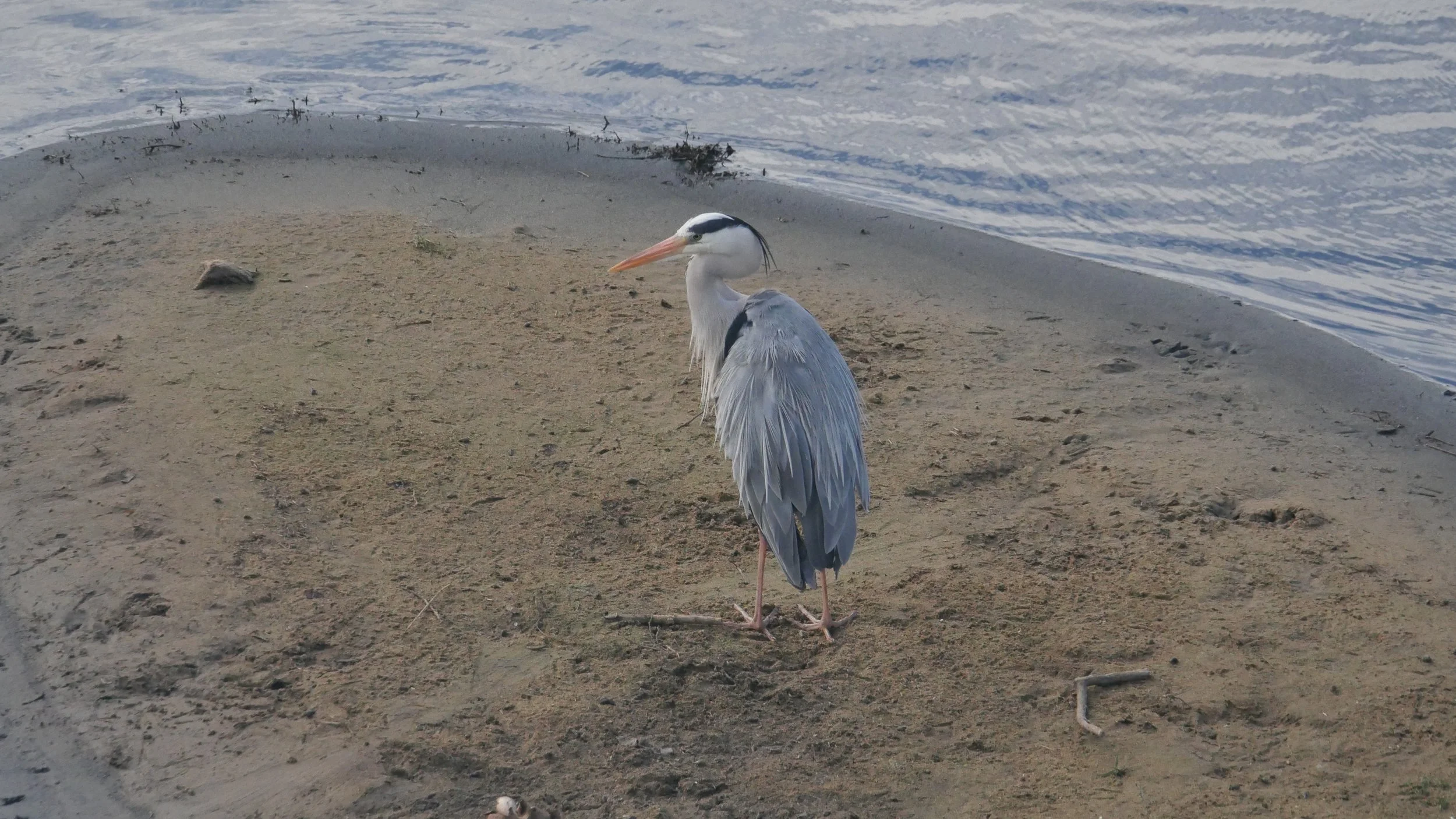 landscapeandwildlife_Kruger_-165.jpg
