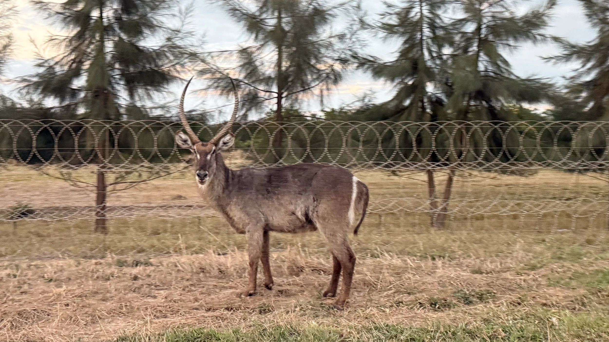 landscapeandwildlife_Kruger_-23-2.jpg