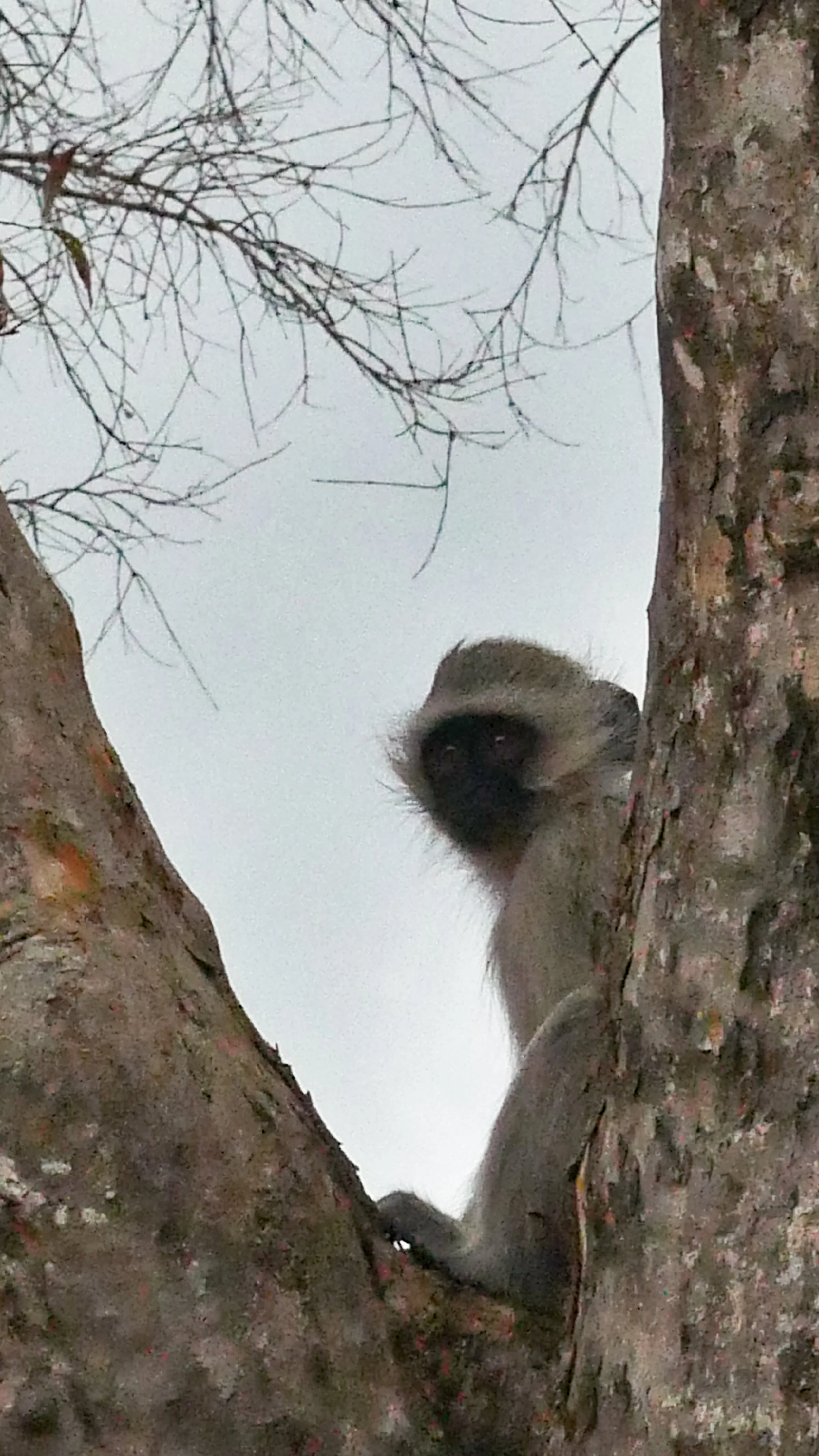 landscapeandwildlife_Kruger_-13-2.jpg
