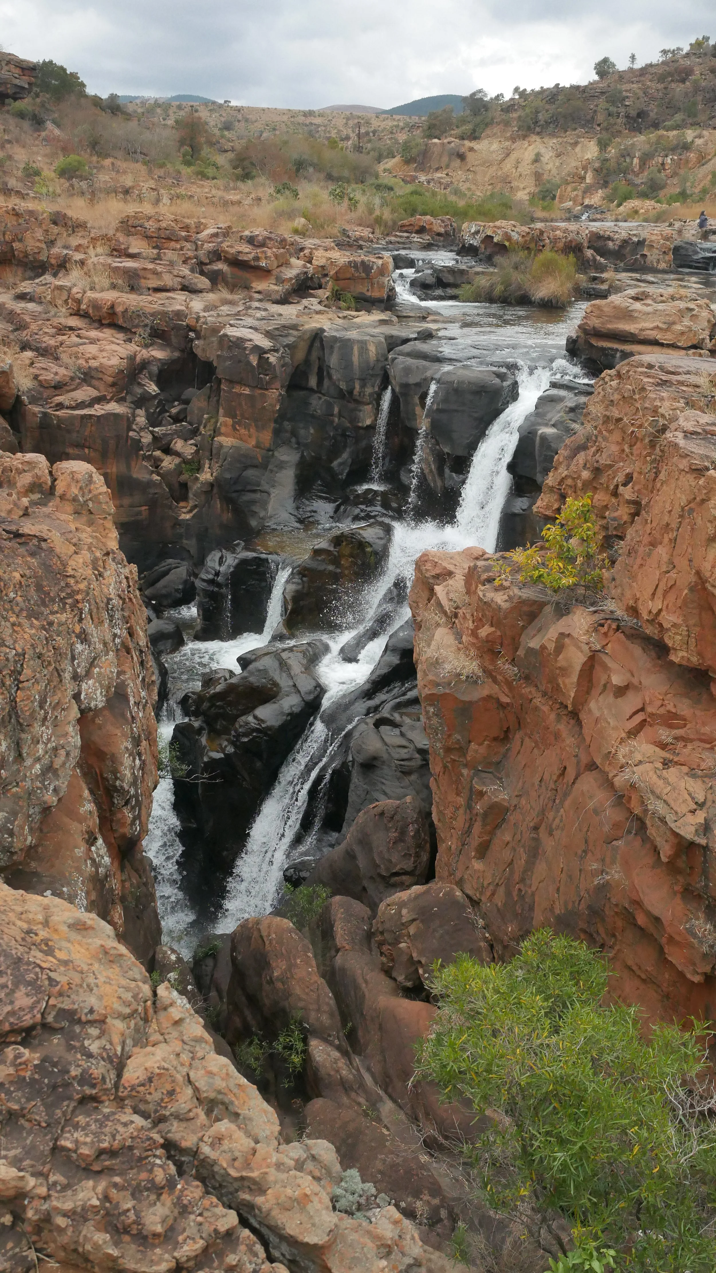 landscapeandwildlife_Kruger_-9-2.jpg