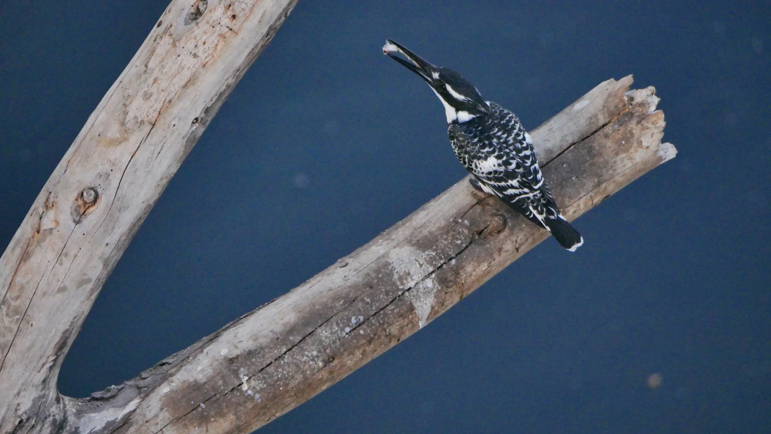 landscapeandwildlife_Kruger_-182.jpg