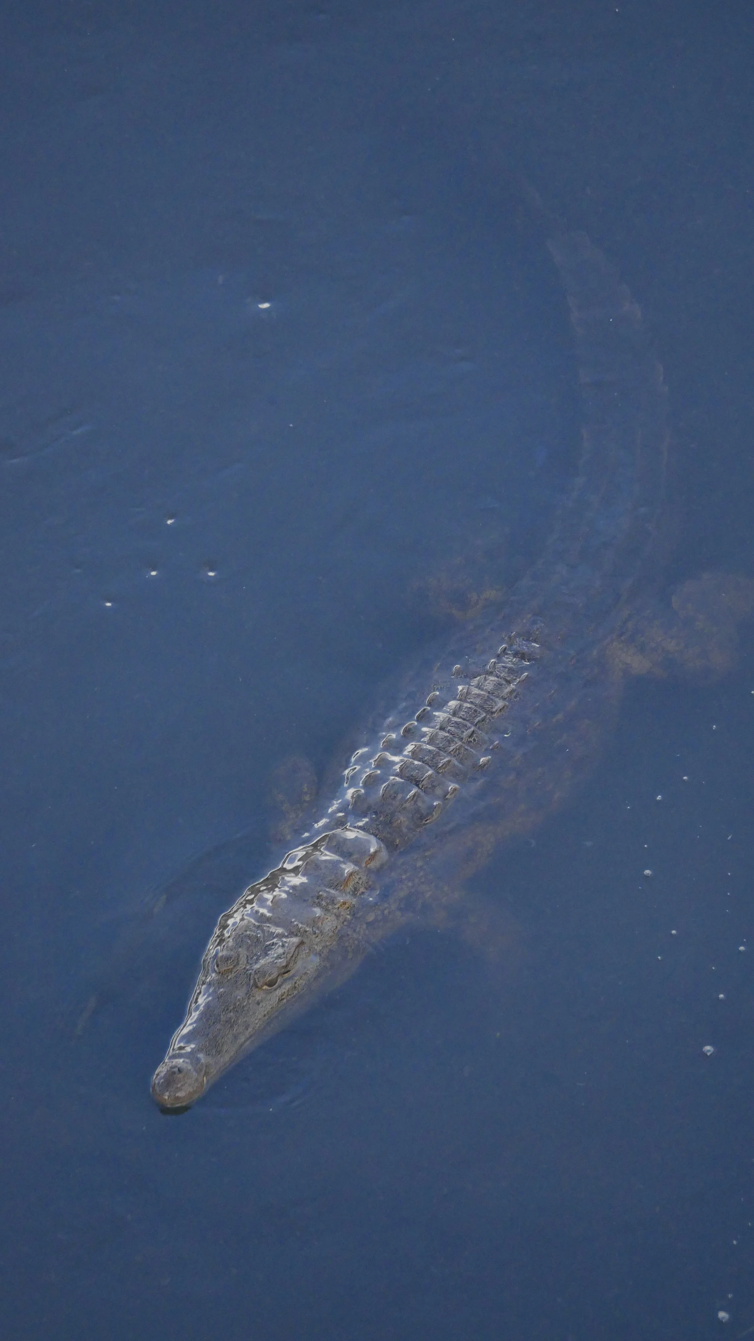 landscapeandwildlife_Kruger_-170.jpg