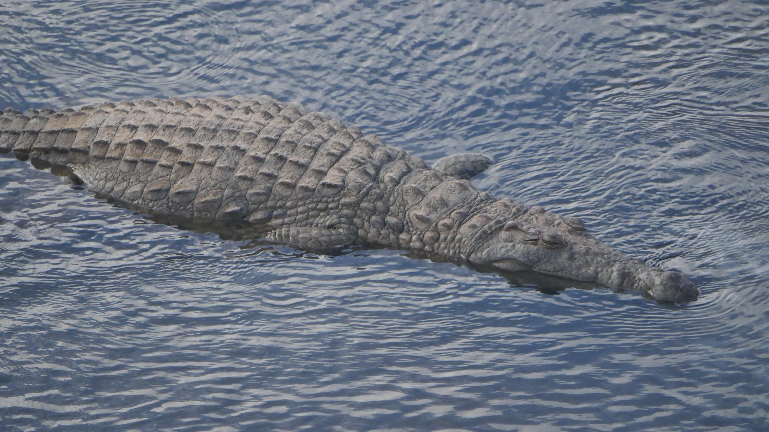 landscapeandwildlife_Kruger_-166.jpg