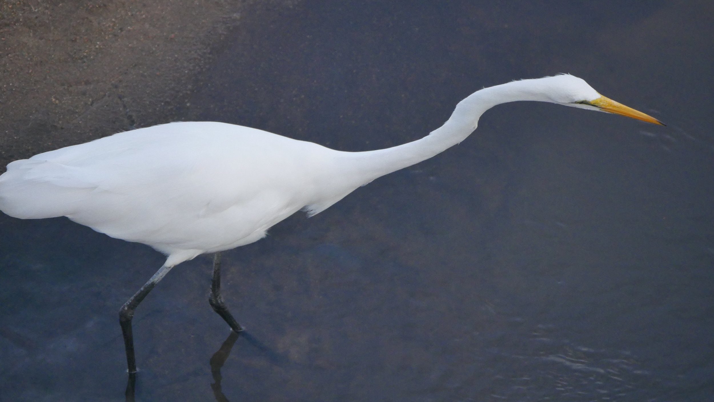 landscapeandwildlife_Kruger_-171.jpg