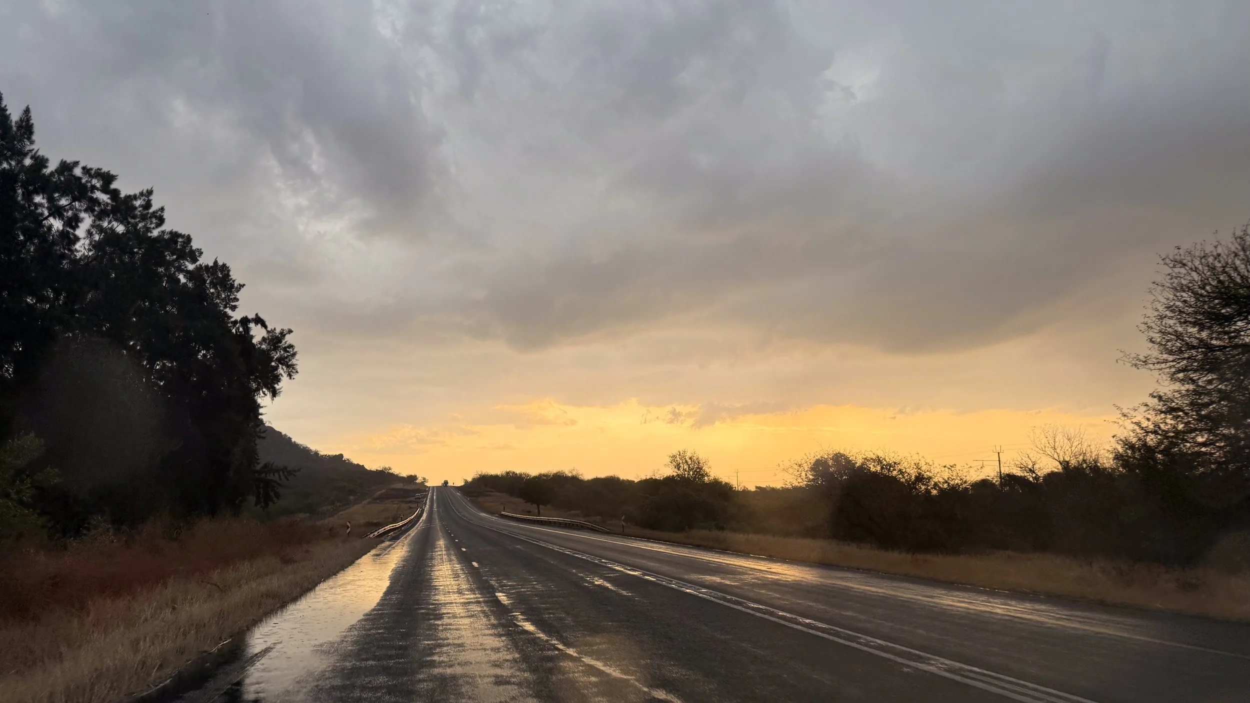 landscapeandwildlife_Kruger_-17-2.jpg