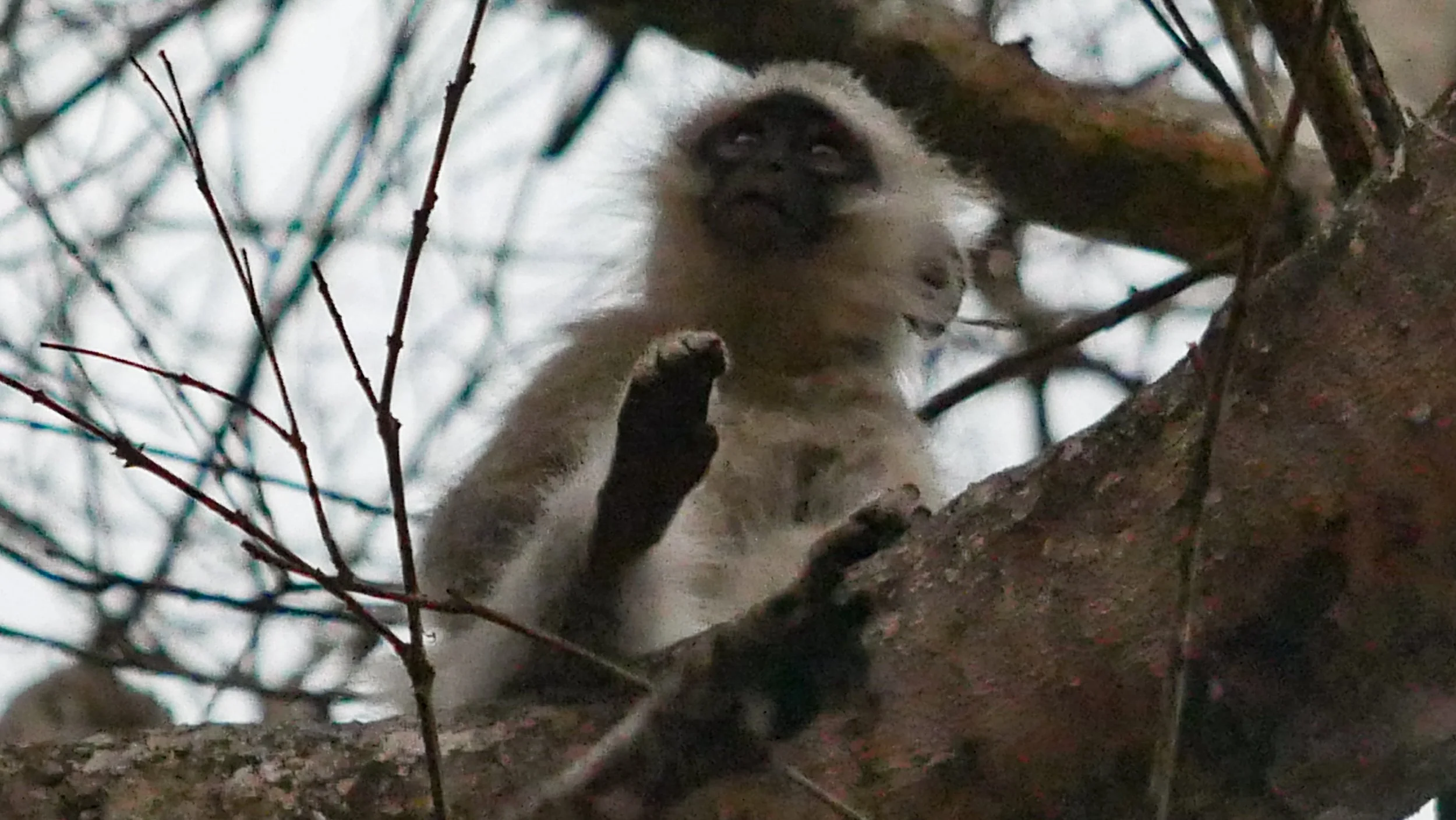 landscapeandwildlife_Kruger_-12-2.jpg