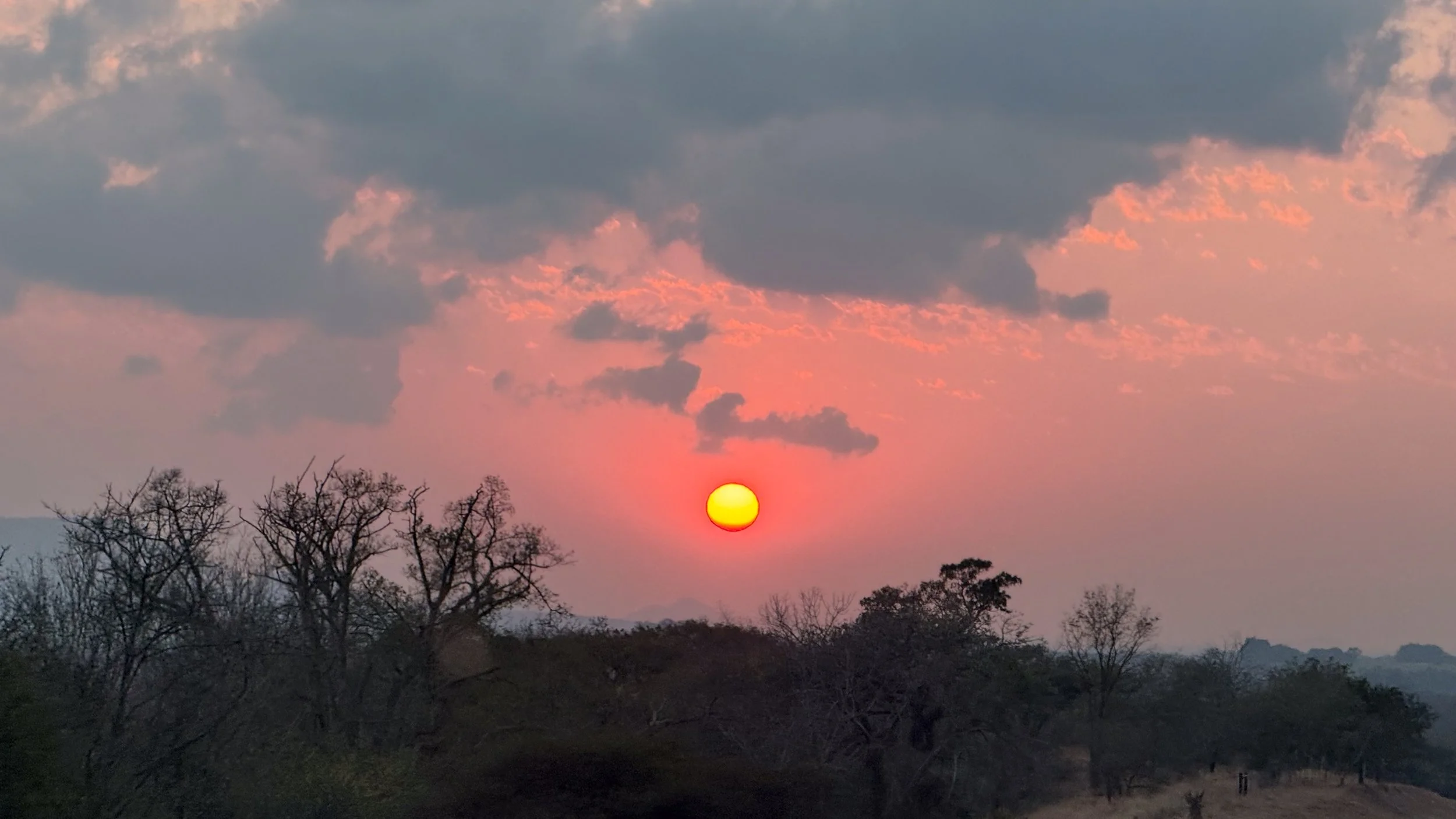 landscapeandwildlife_Kruger_-15-3.jpg