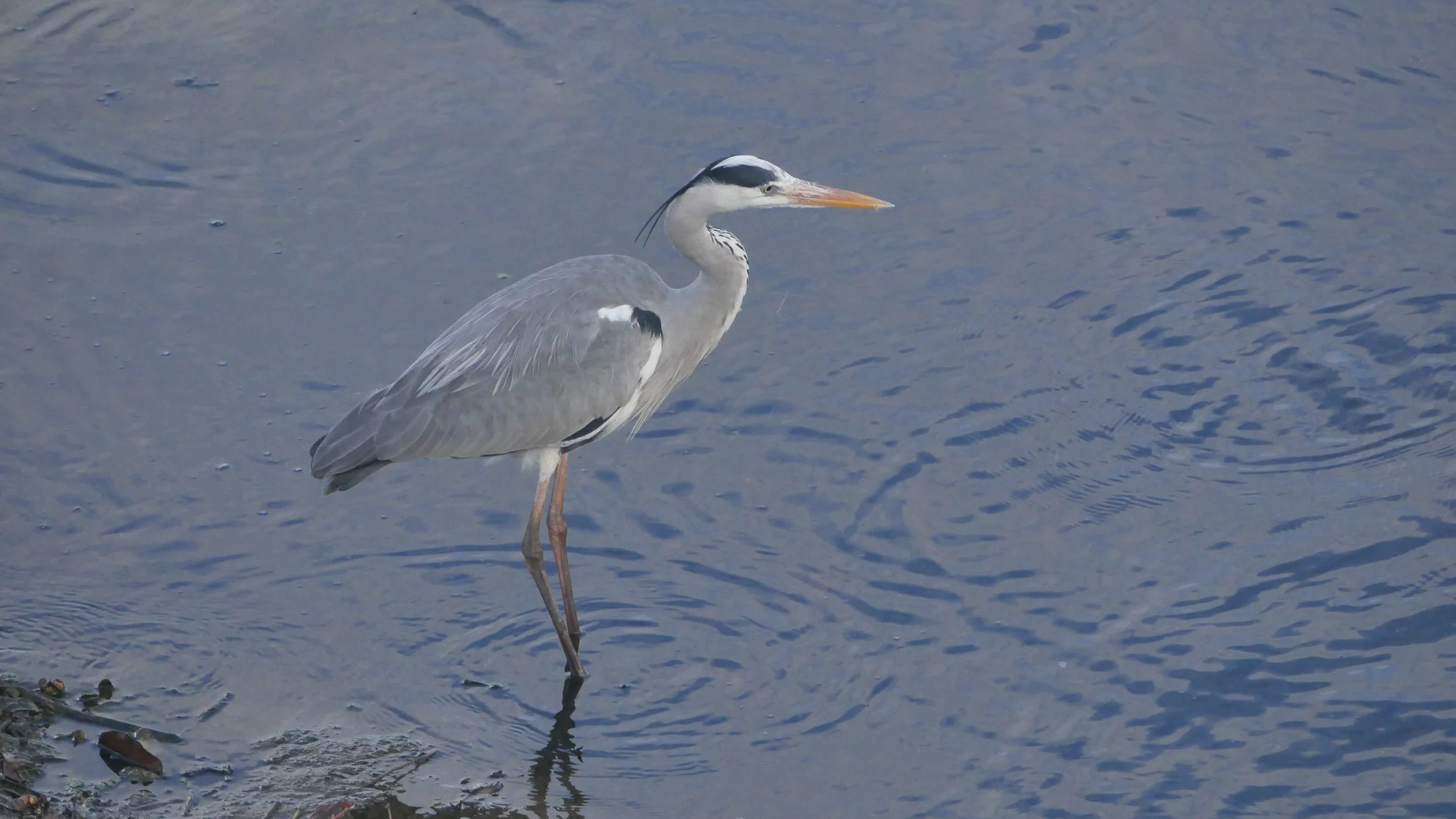 landscapeandwildlife_Kruger_-172.jpg