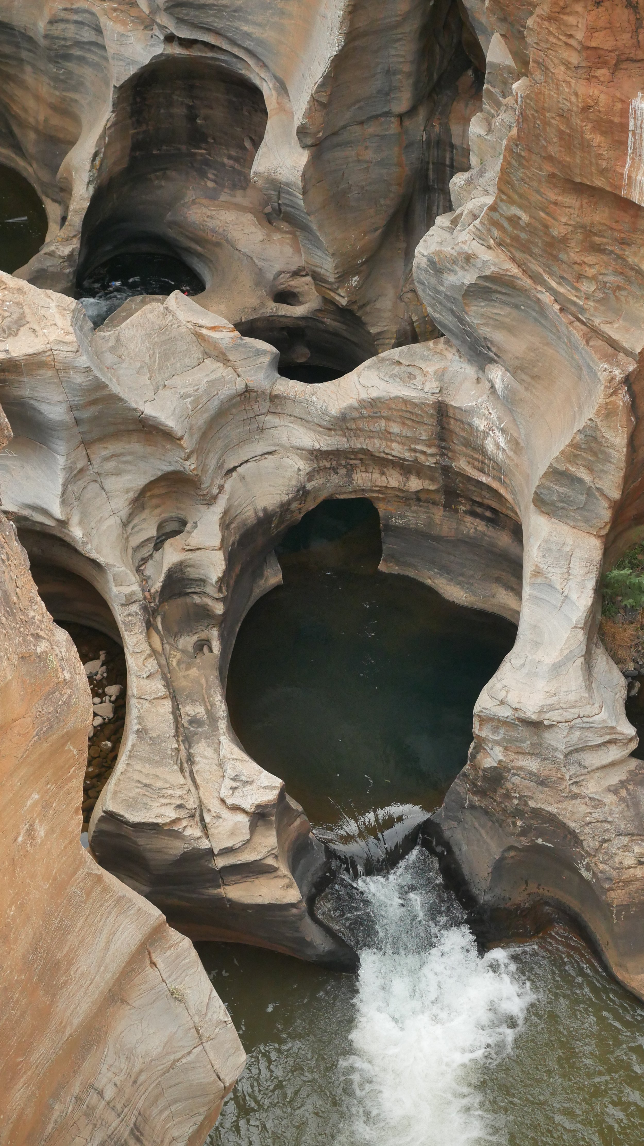 landscapeandwildlife_Kruger_-8-2.jpg