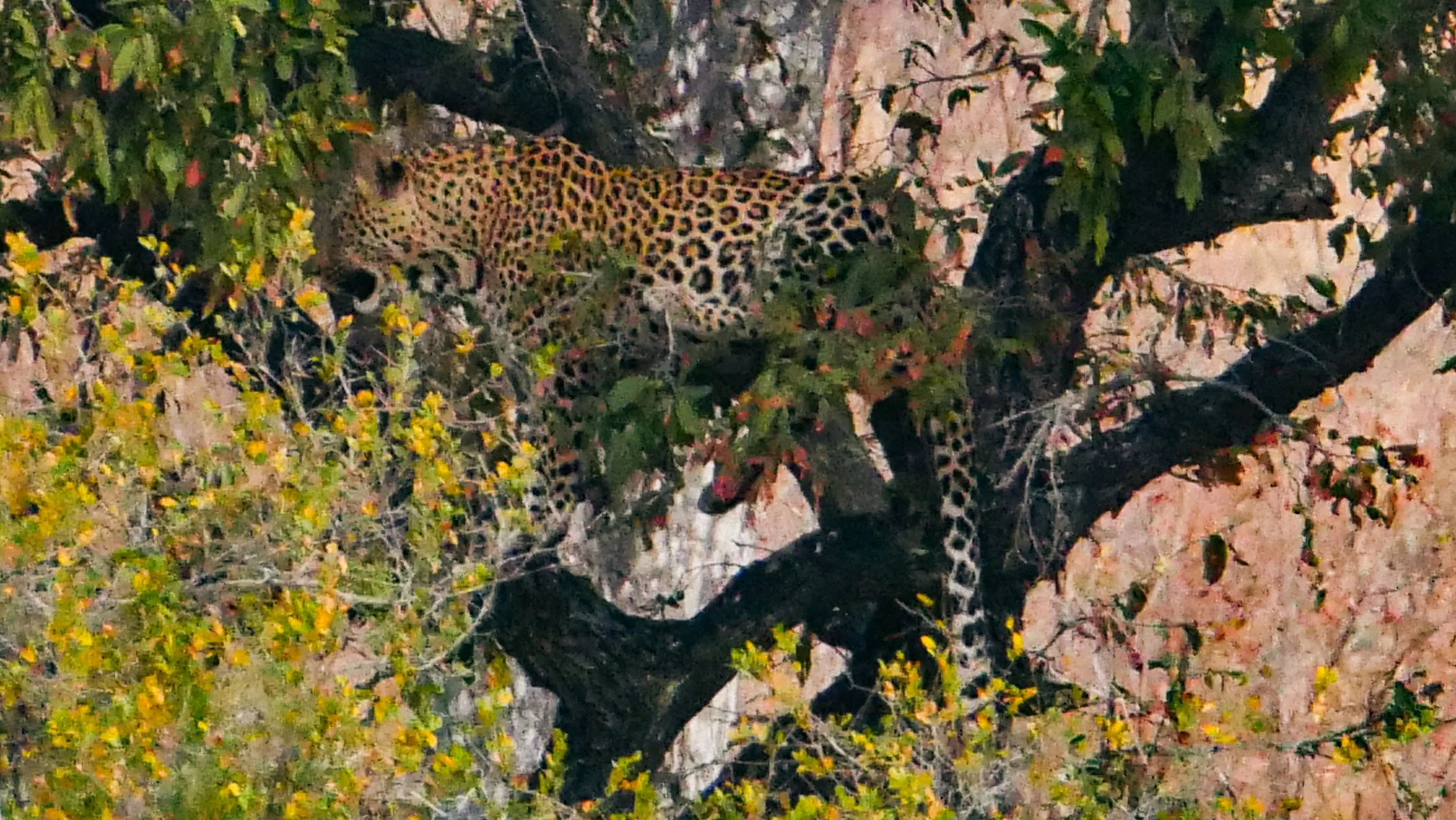 landscapeandwildlife_Kruger_-151.jpg