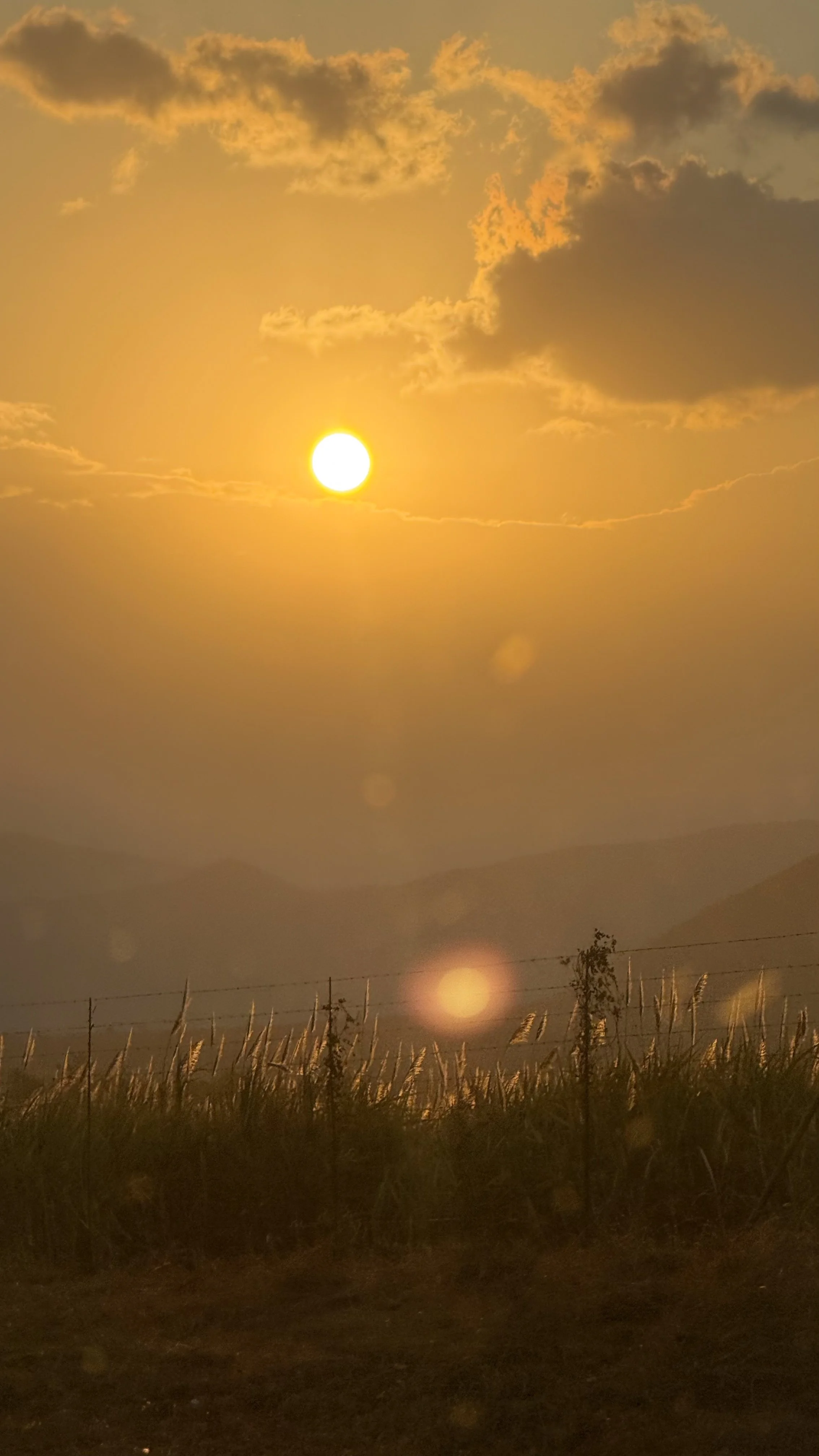 landscapeandwildlife_Kruger_-19-2.jpg