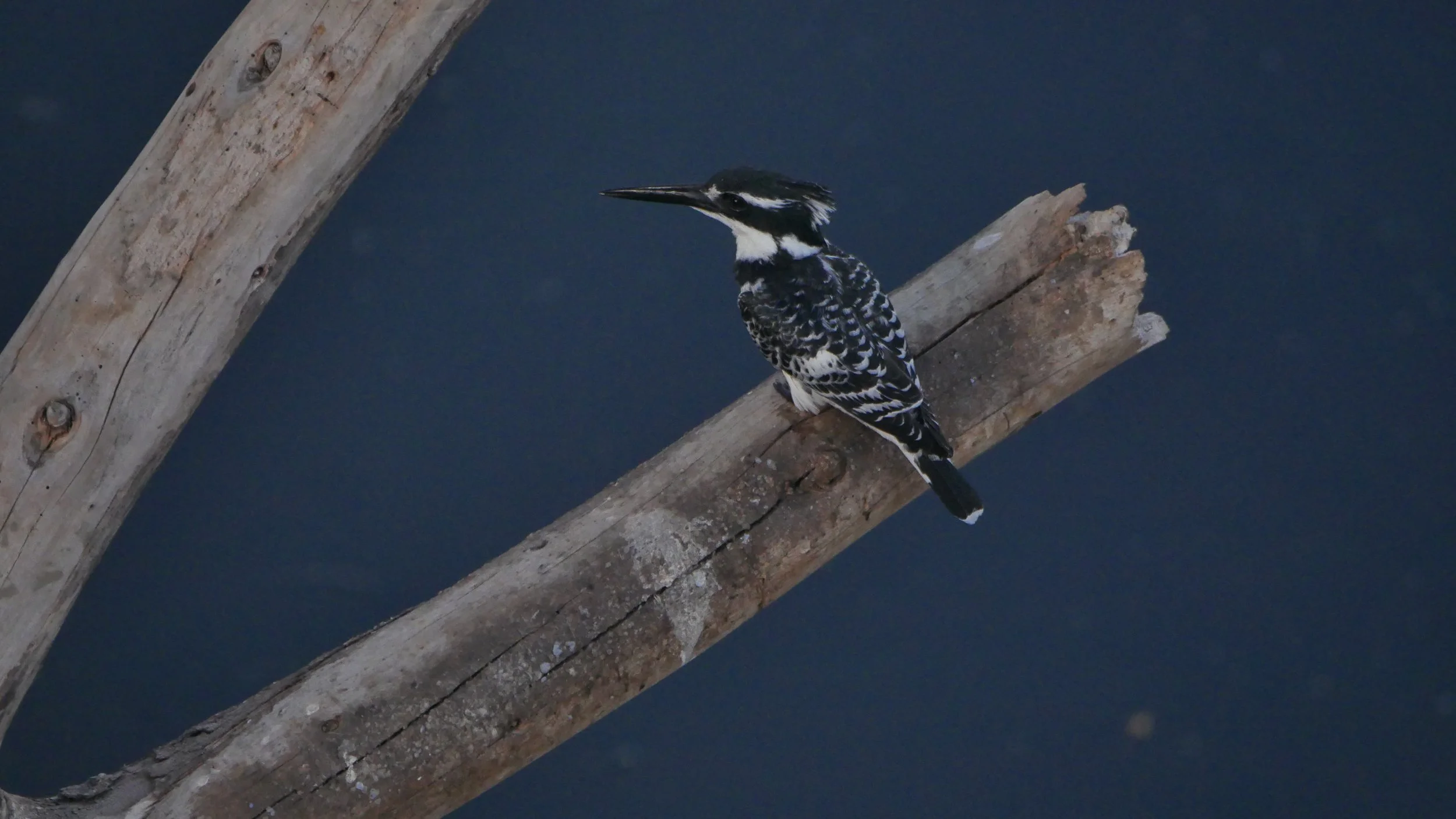 landscapeandwildlife_Kruger_-183.jpg