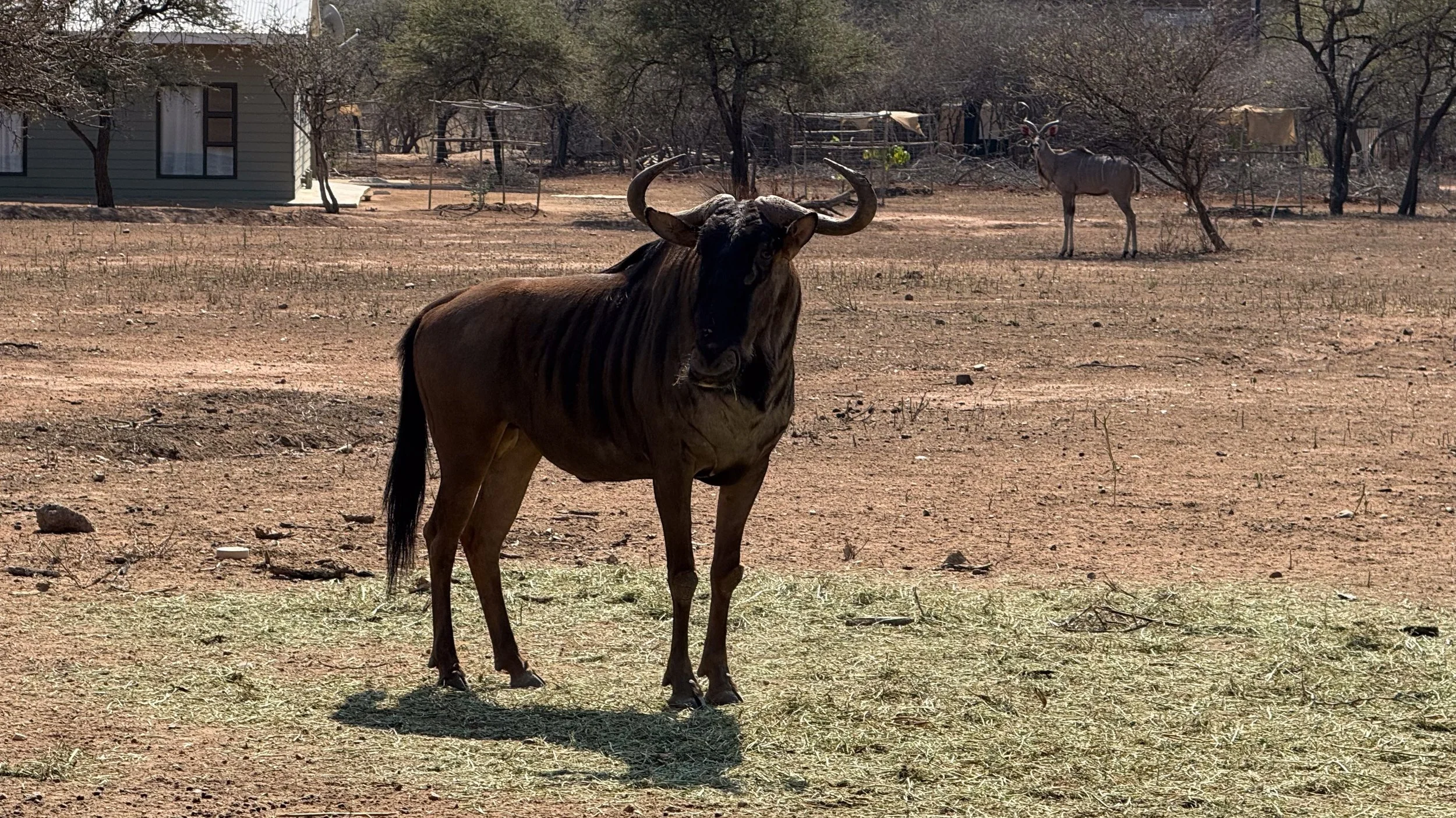 landscapeandwildlife_Kruger_-25-2.jpg