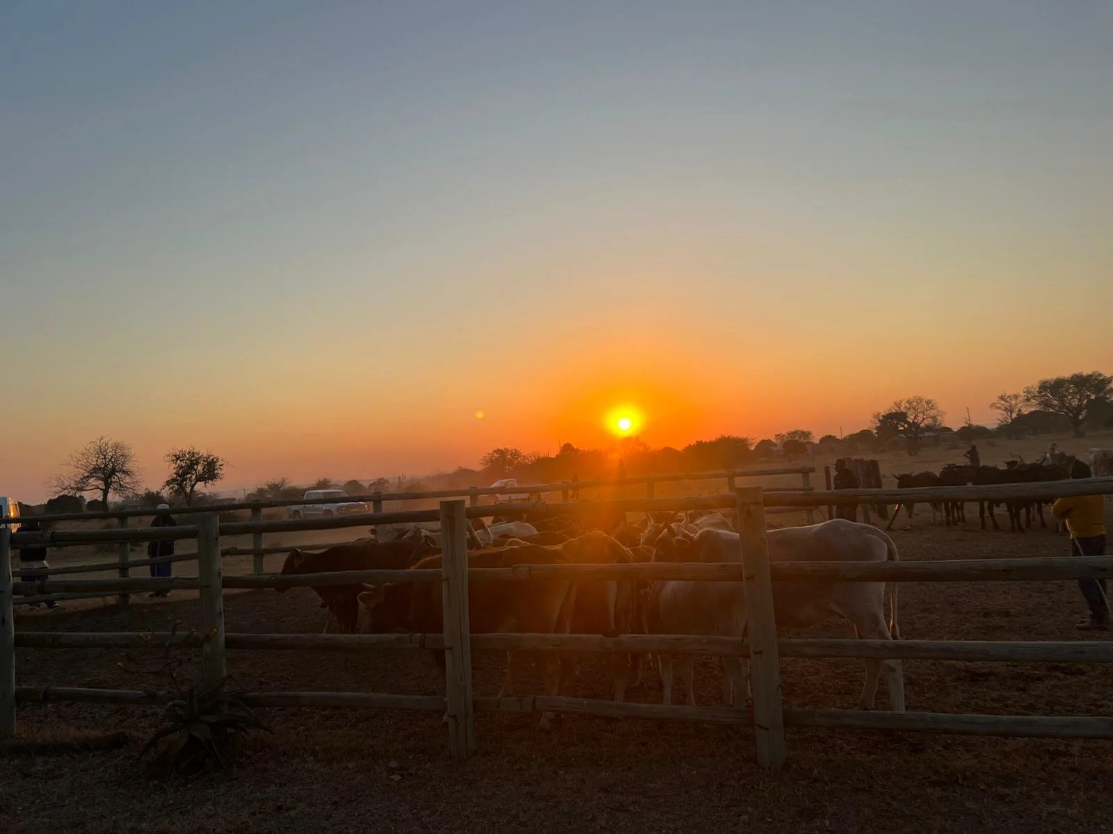 landscapeandwildlife_Kruger_-12-3.jpg