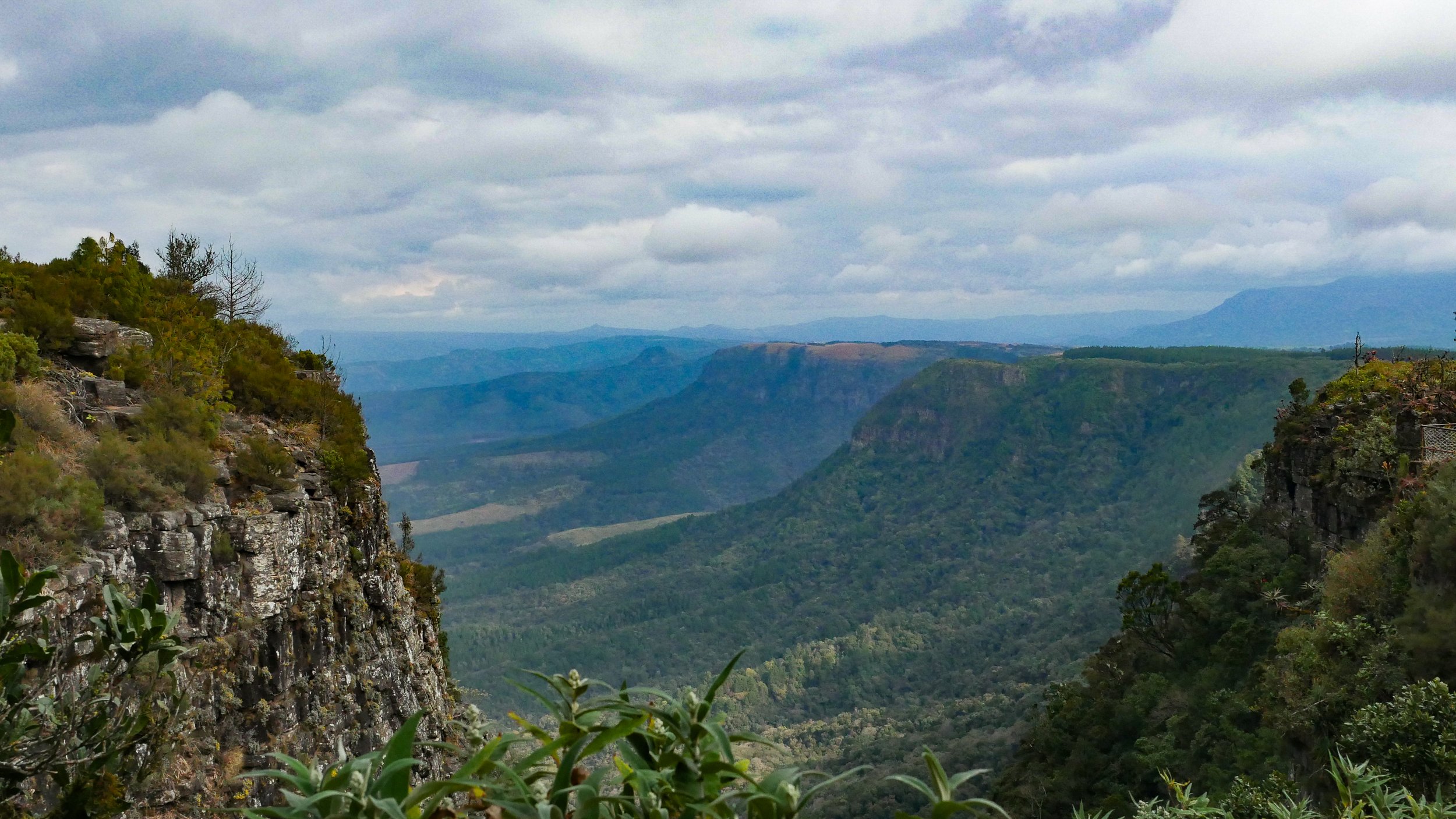 landscapeandwildlife_Kruger_-14-2.jpg