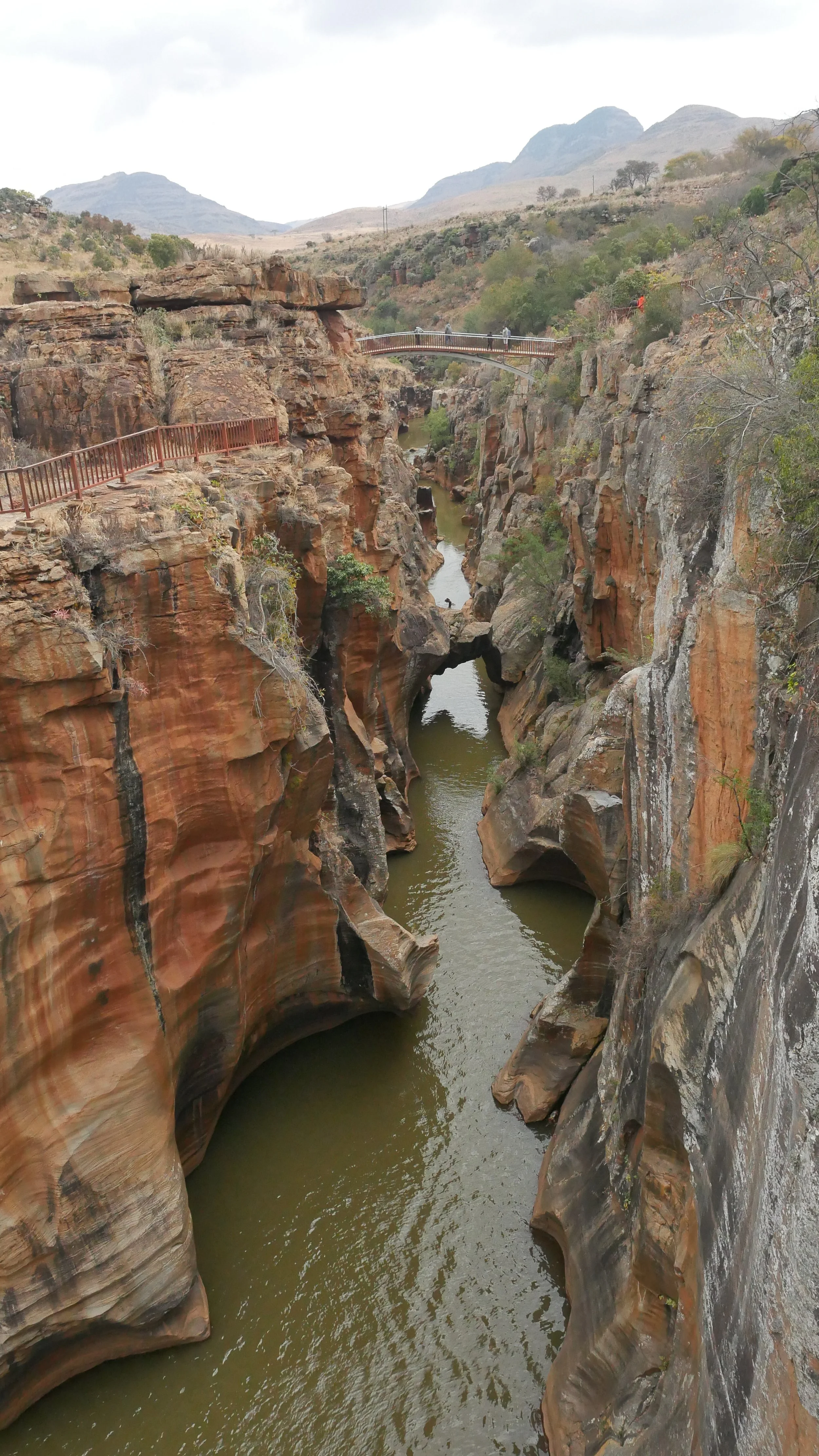 landscapeandwildlife_Kruger_-5-2.jpg