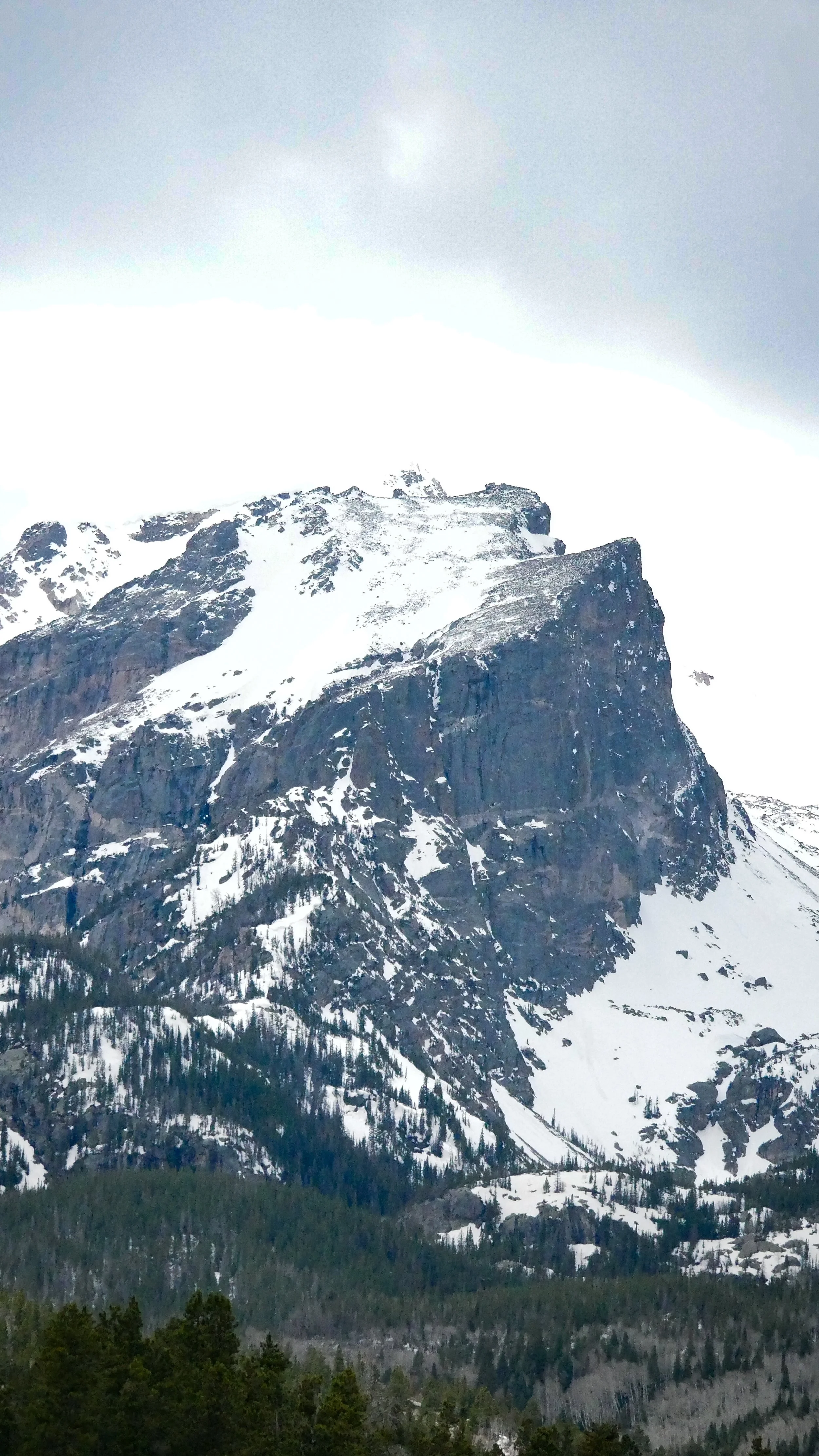 LandscapeandWildlife_RMNP_-41.jpg