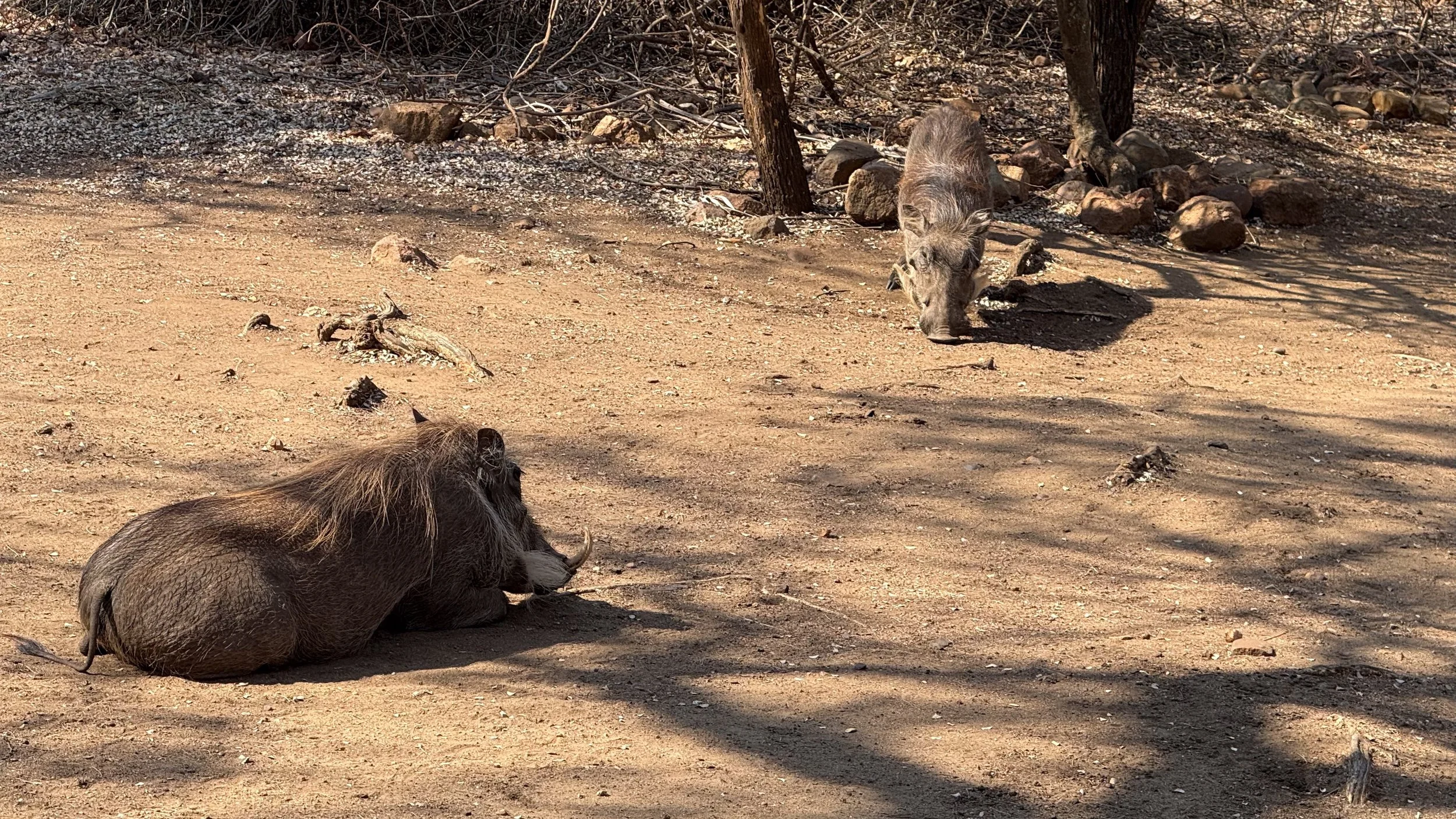 landscapeandwildlife_Kruger_-30-2.jpg
