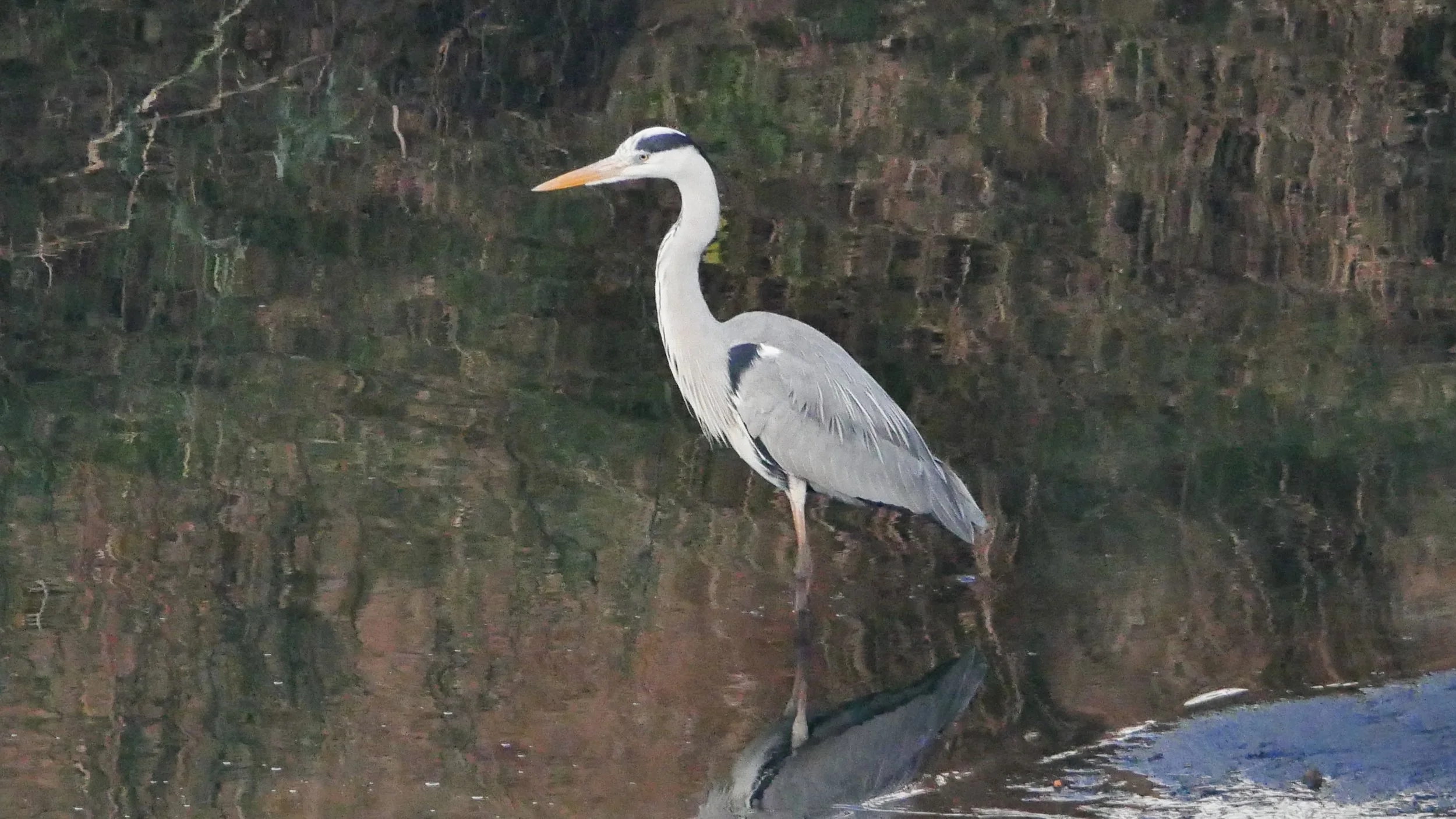 landscapeandwildlife_Kruger_-157.jpg